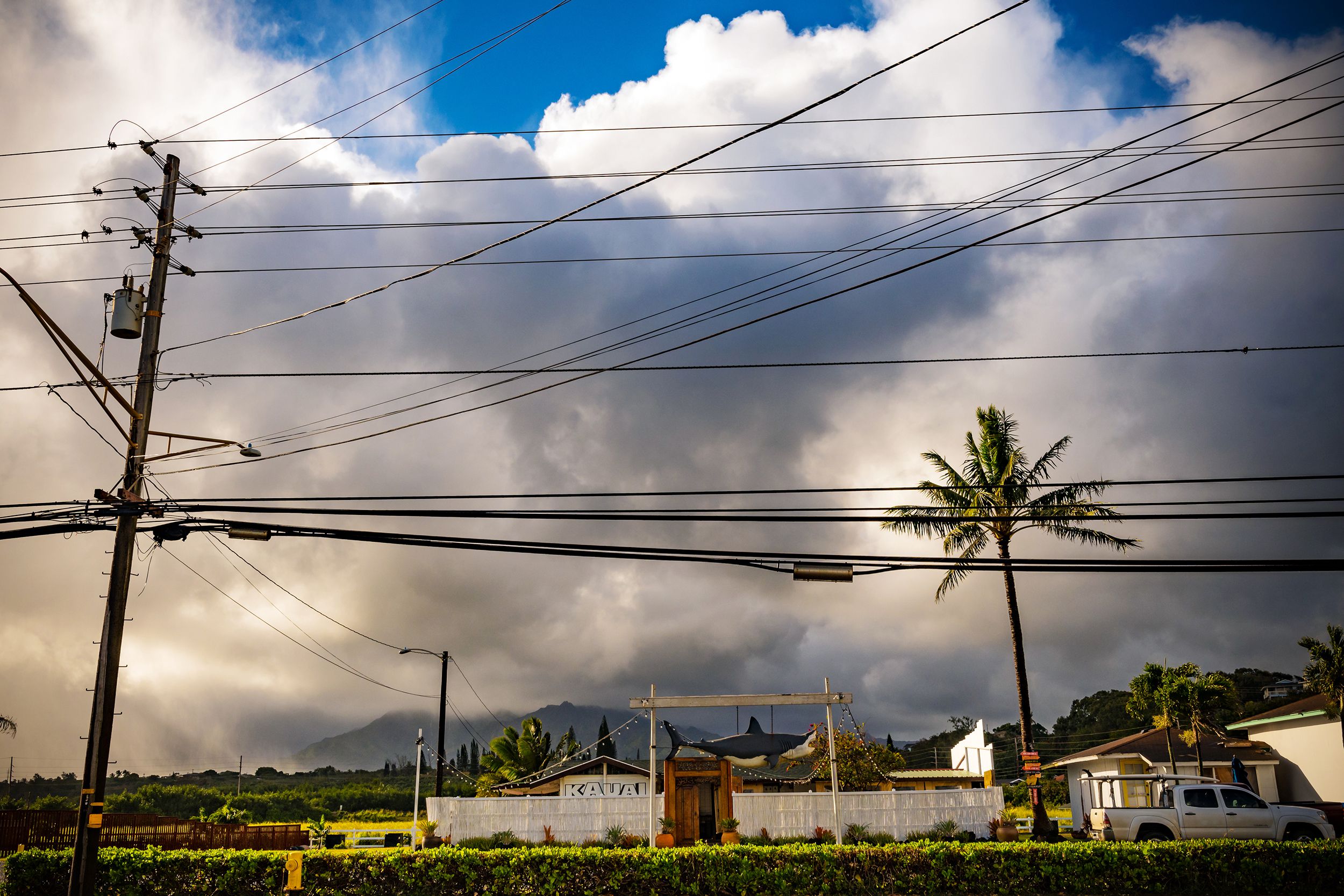 hanging shark at house along the Kuhio Highway in Kapaa Town, Kauai