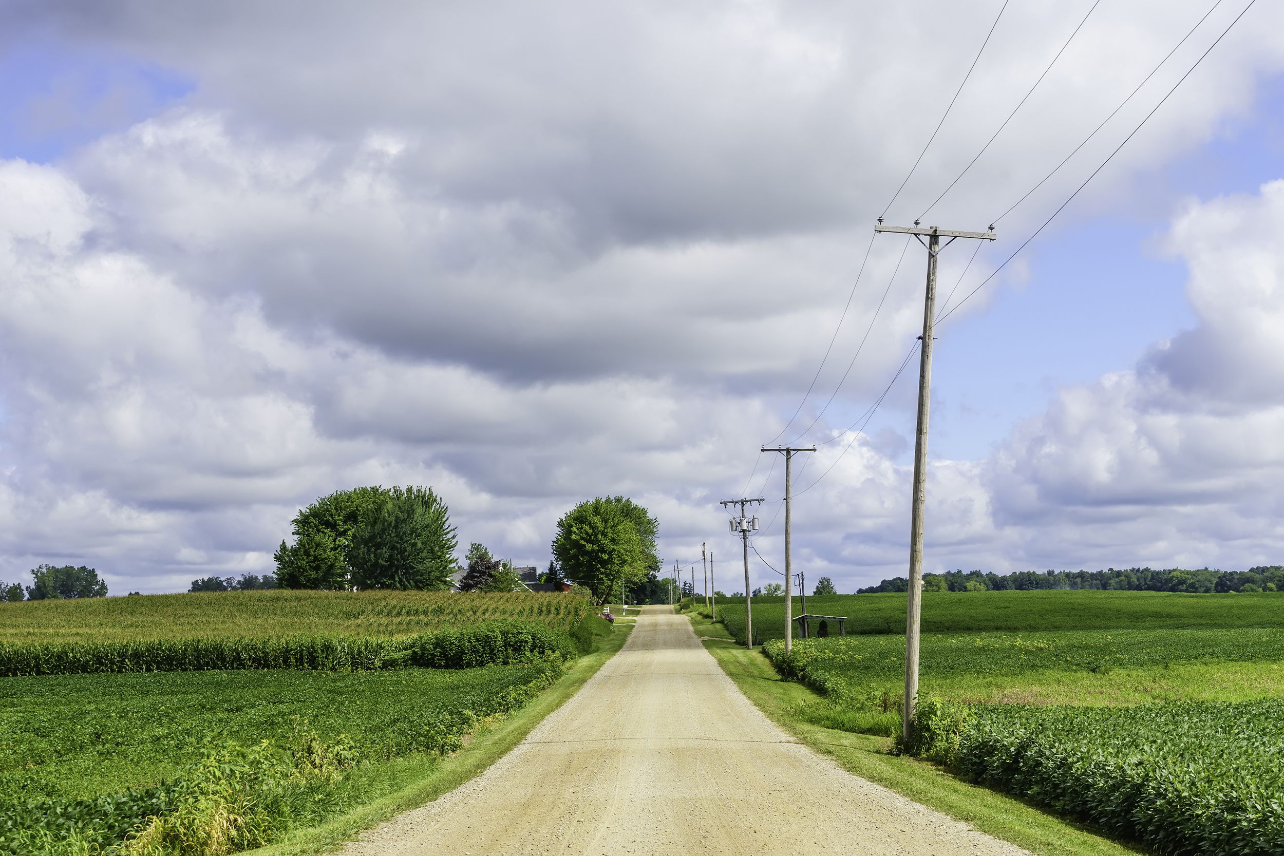 rural road in farmland, northern Indiana