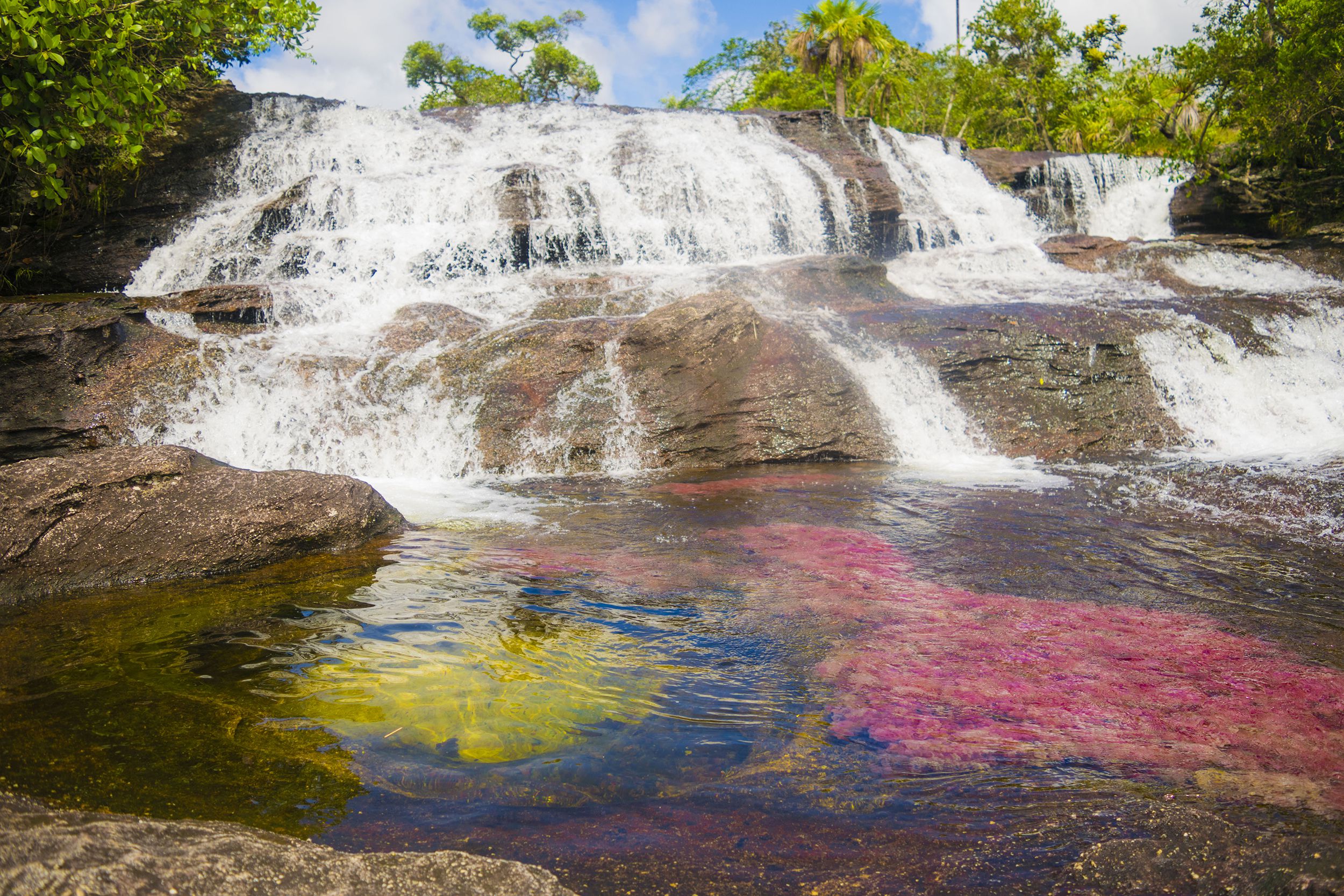 Caño Cristales