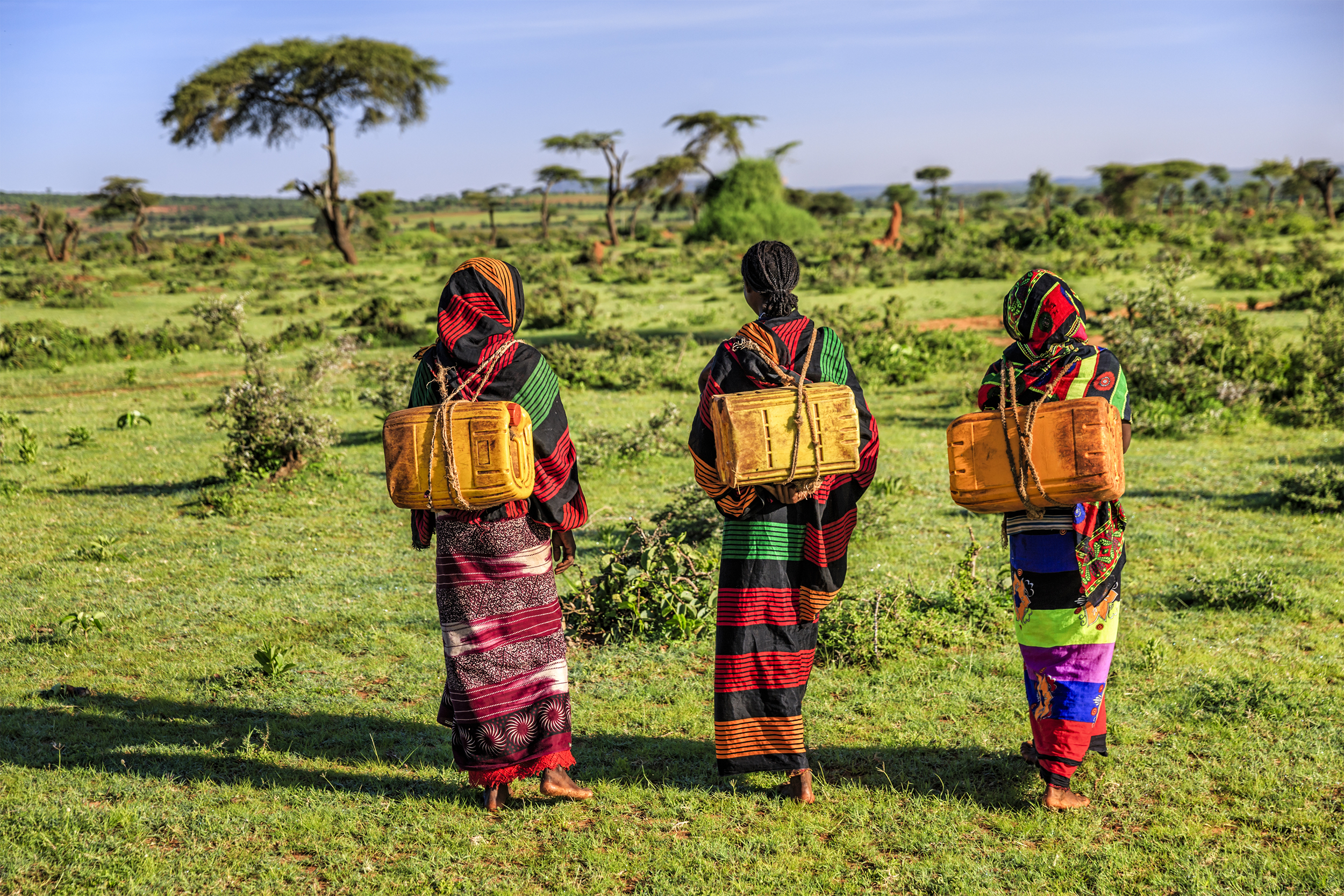Young African women carrying water from the well, Ethiopia, Africa