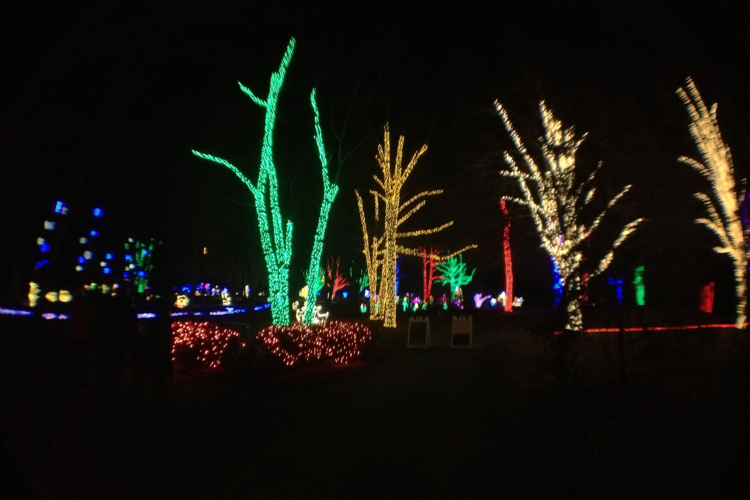 Winter Walk of Lights in Vienna, VA
