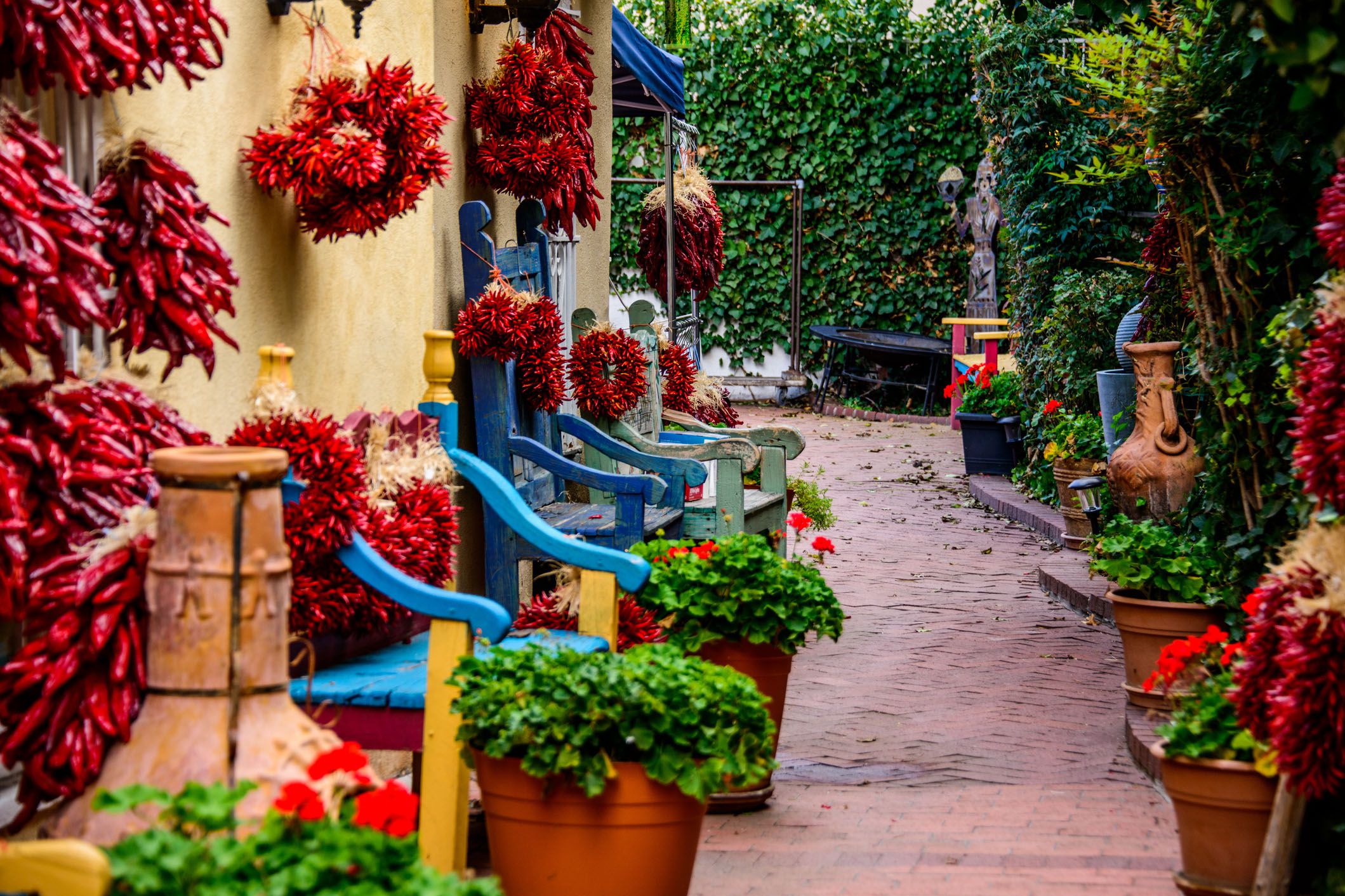 peppers and benches in old town albuquerque, new mexico