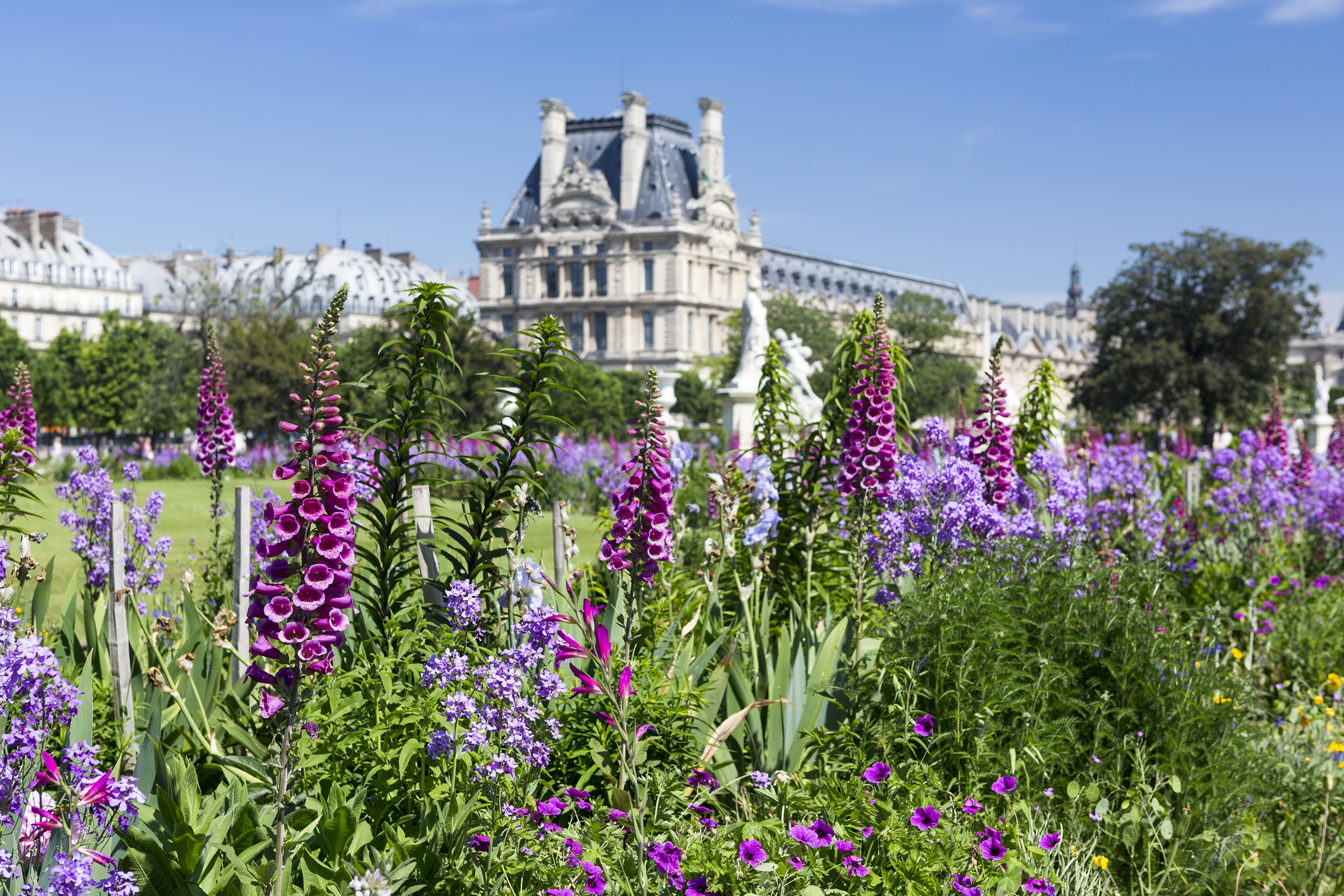 Tuileries Garden in Paris during spring