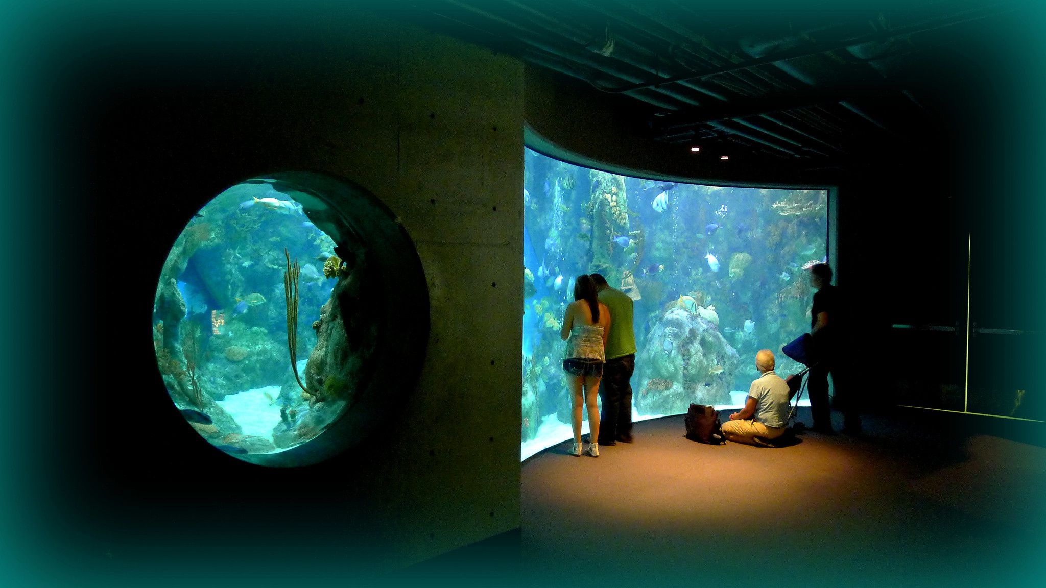ABQ BioPark Aquarium