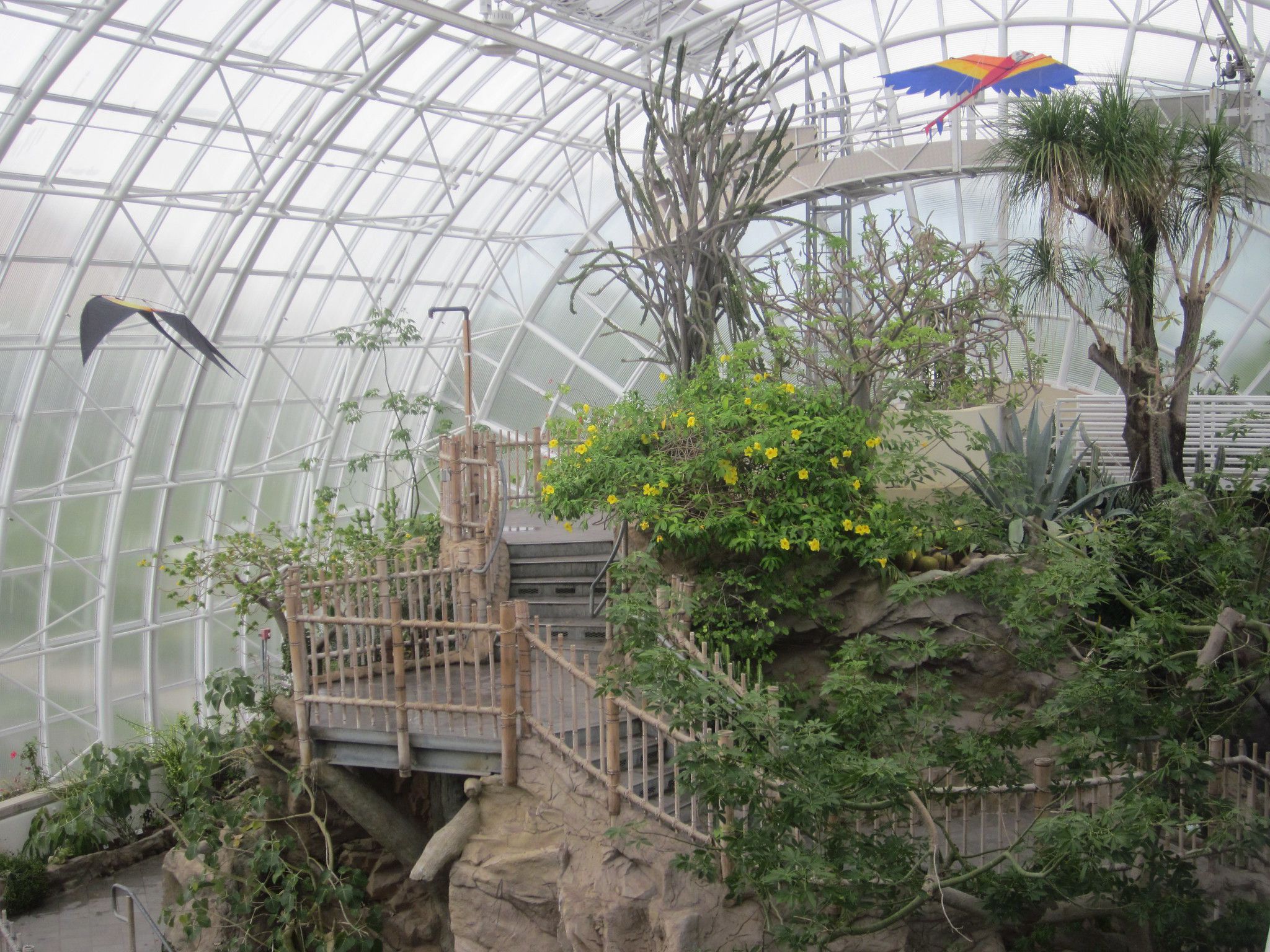 Crystal Bridge Conservatory, Myriad Gardens