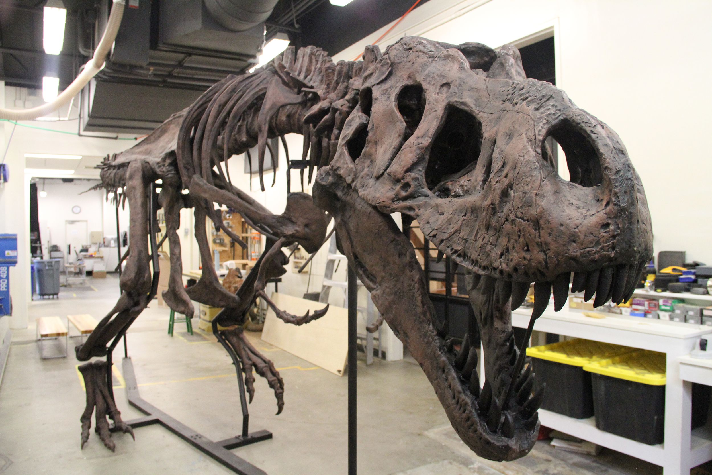 tinker the t-rex