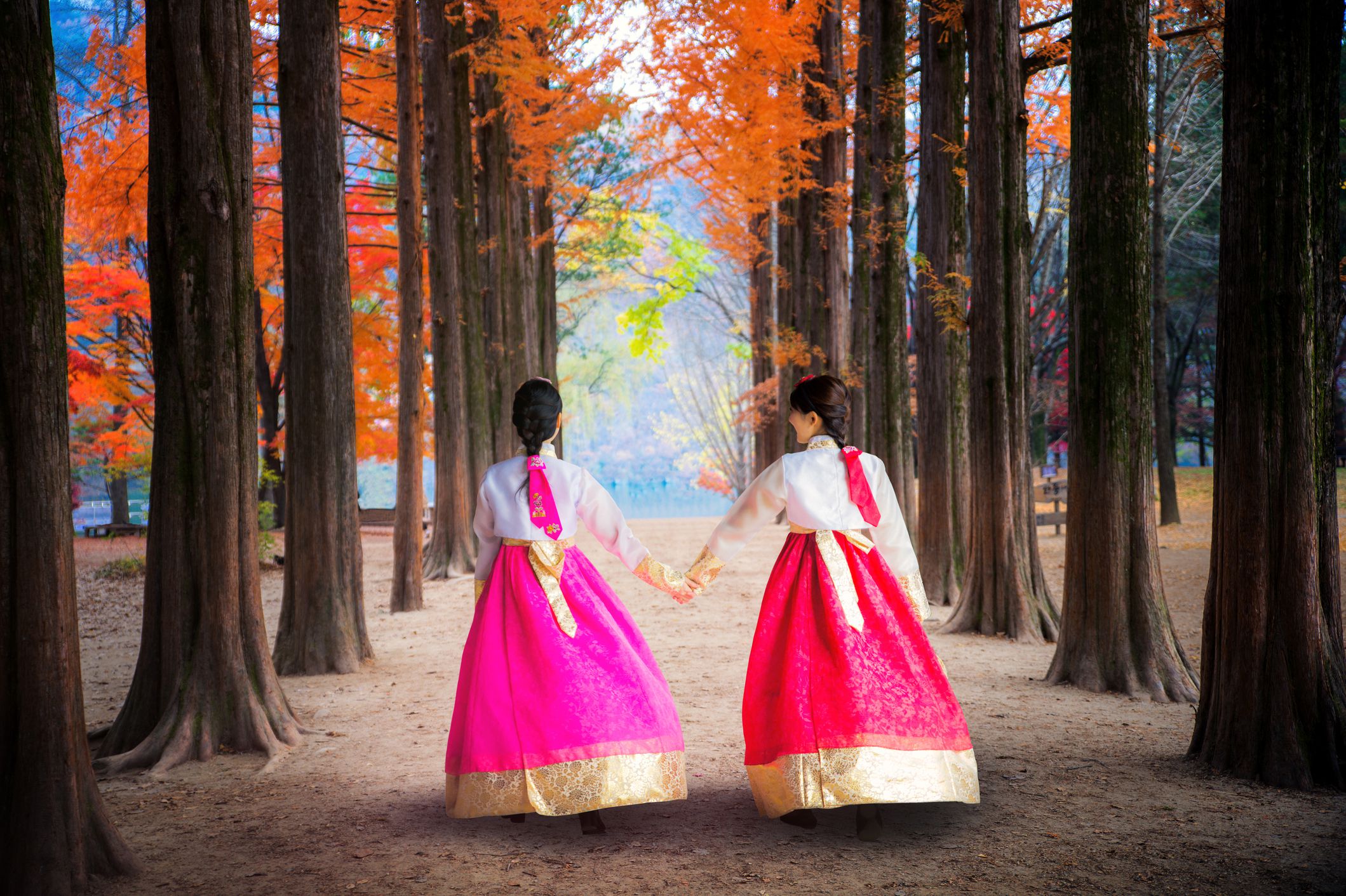 Korean girls walking in nami park in nami island, seoul, South korea