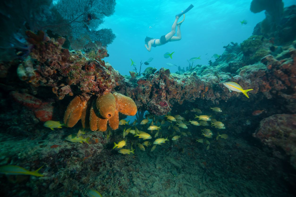 girl snorkeling in key west