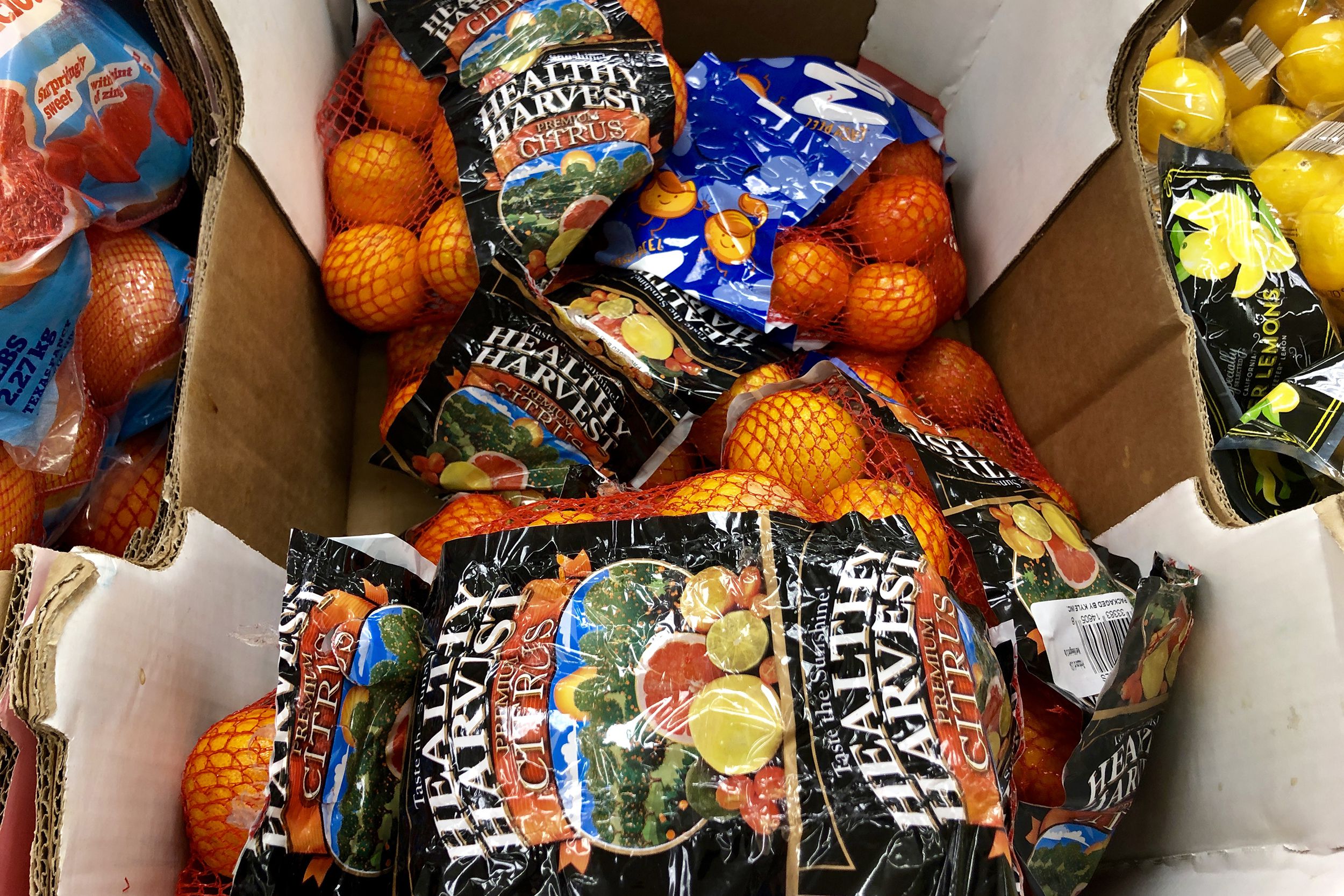 Mandarin Oranges