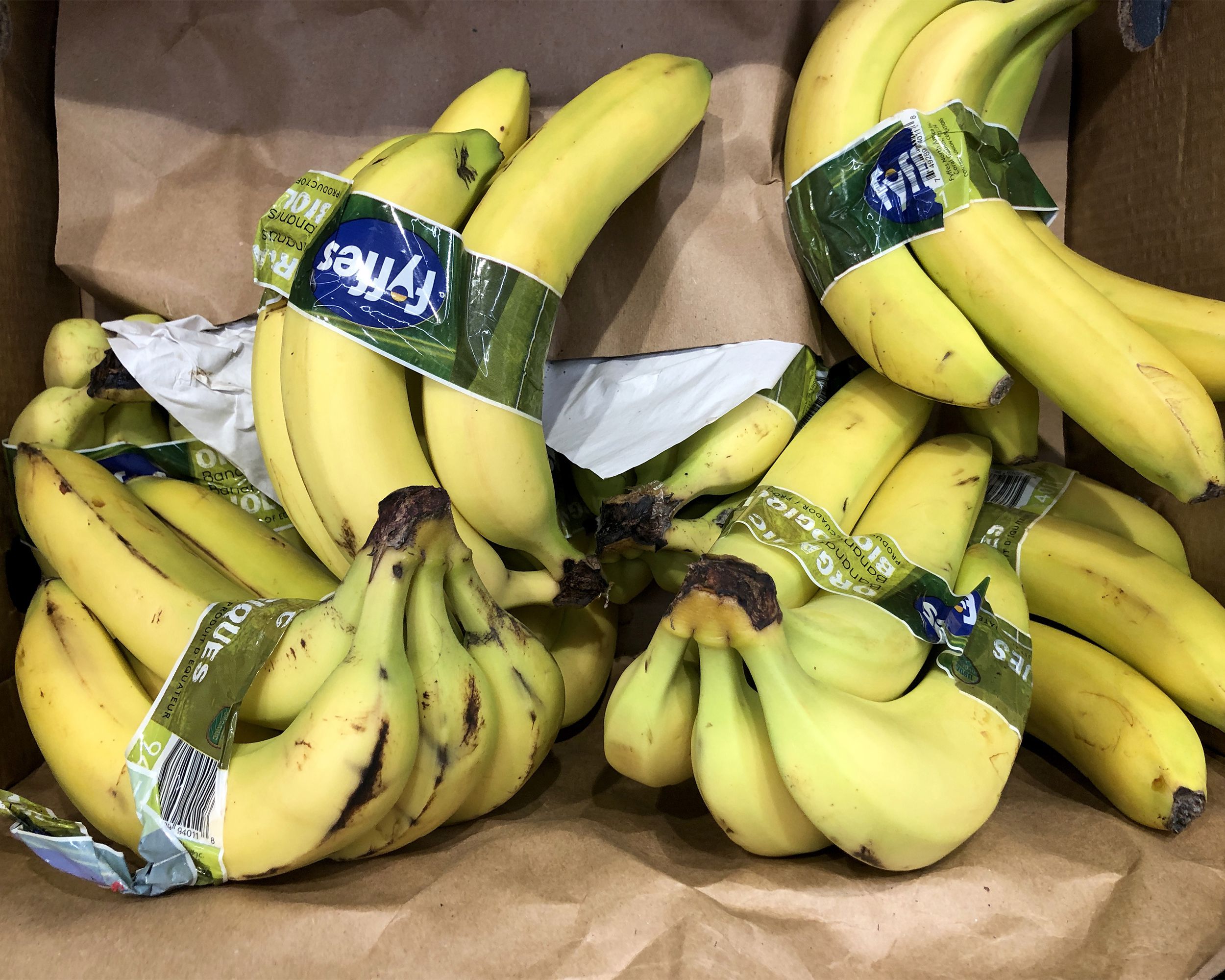 Organic Bananas