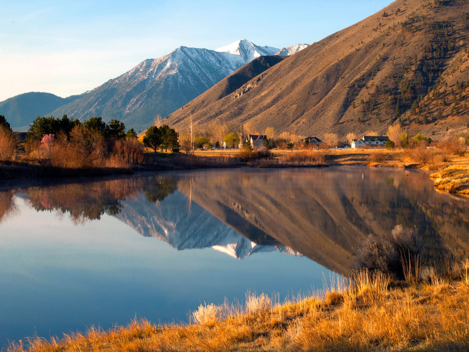 Job's Peak reflected in a pond near Genoa, Nevada