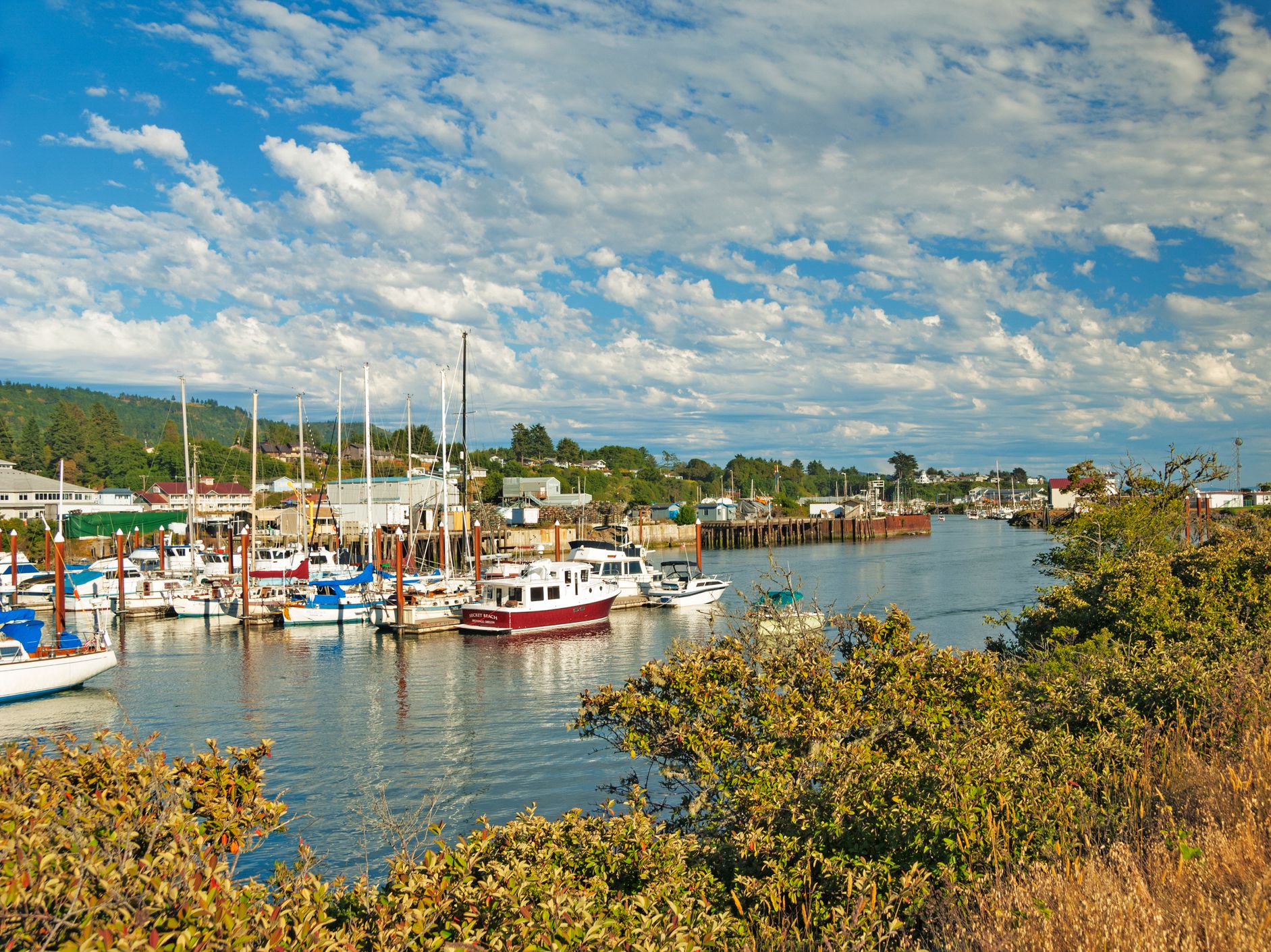 Brookings, Oregon, USA-June 20, 2008: This harbor is in Brookings, Oregon there are many leisure craft as well as commercial vessels this harbor is visable from many of the residence on the hillside above and there are many commercial outlets in the harbo