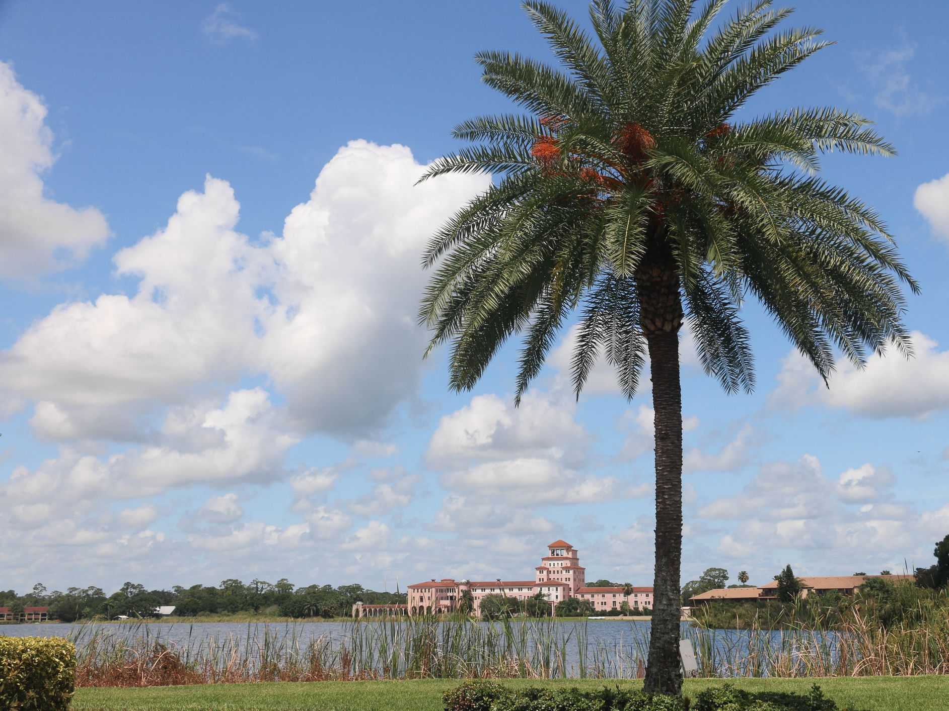 Sebring, FL USA; July 17, 2016