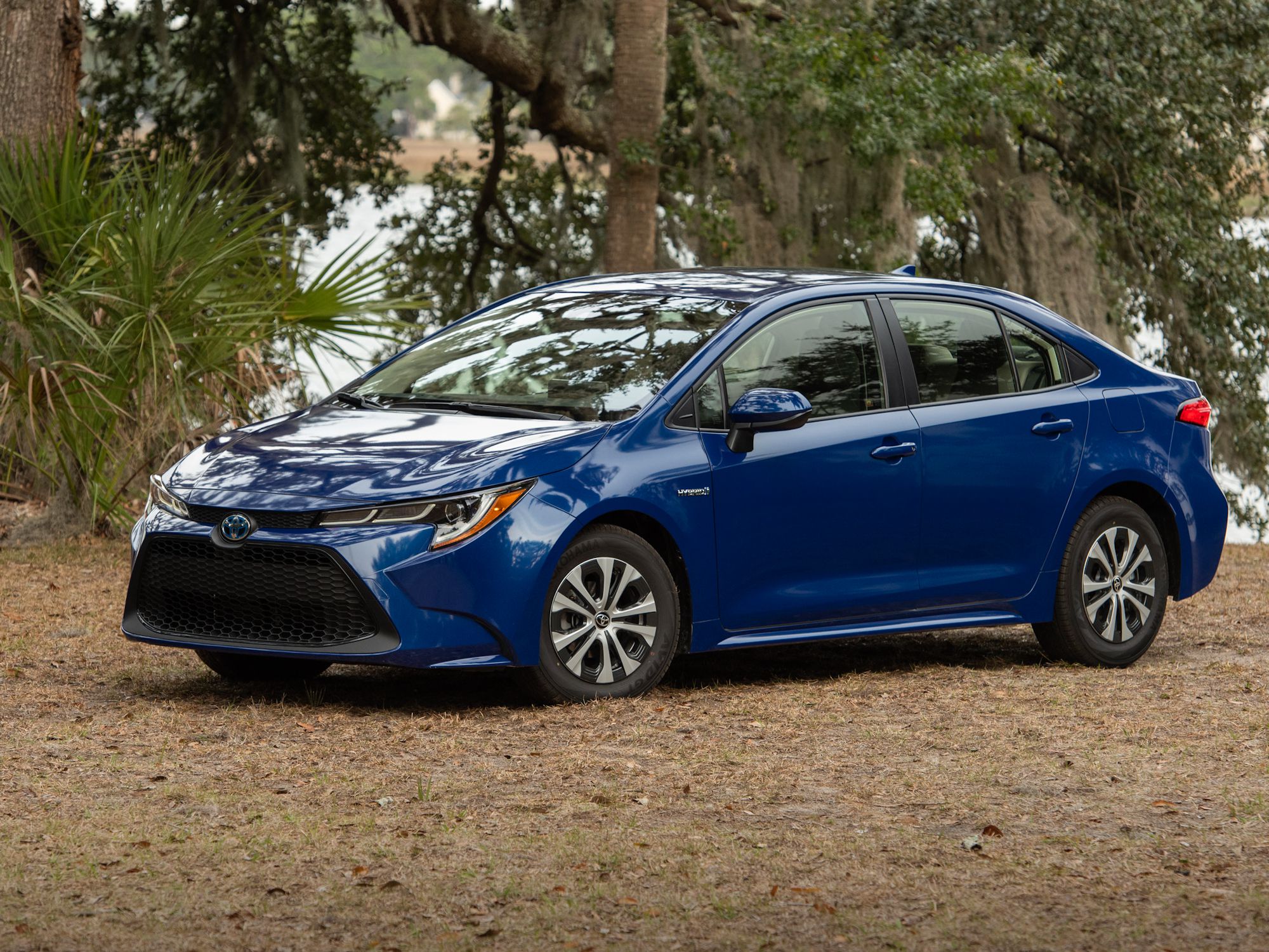 2020 Corolla LE Hybrid Blue Crush Metallic 002