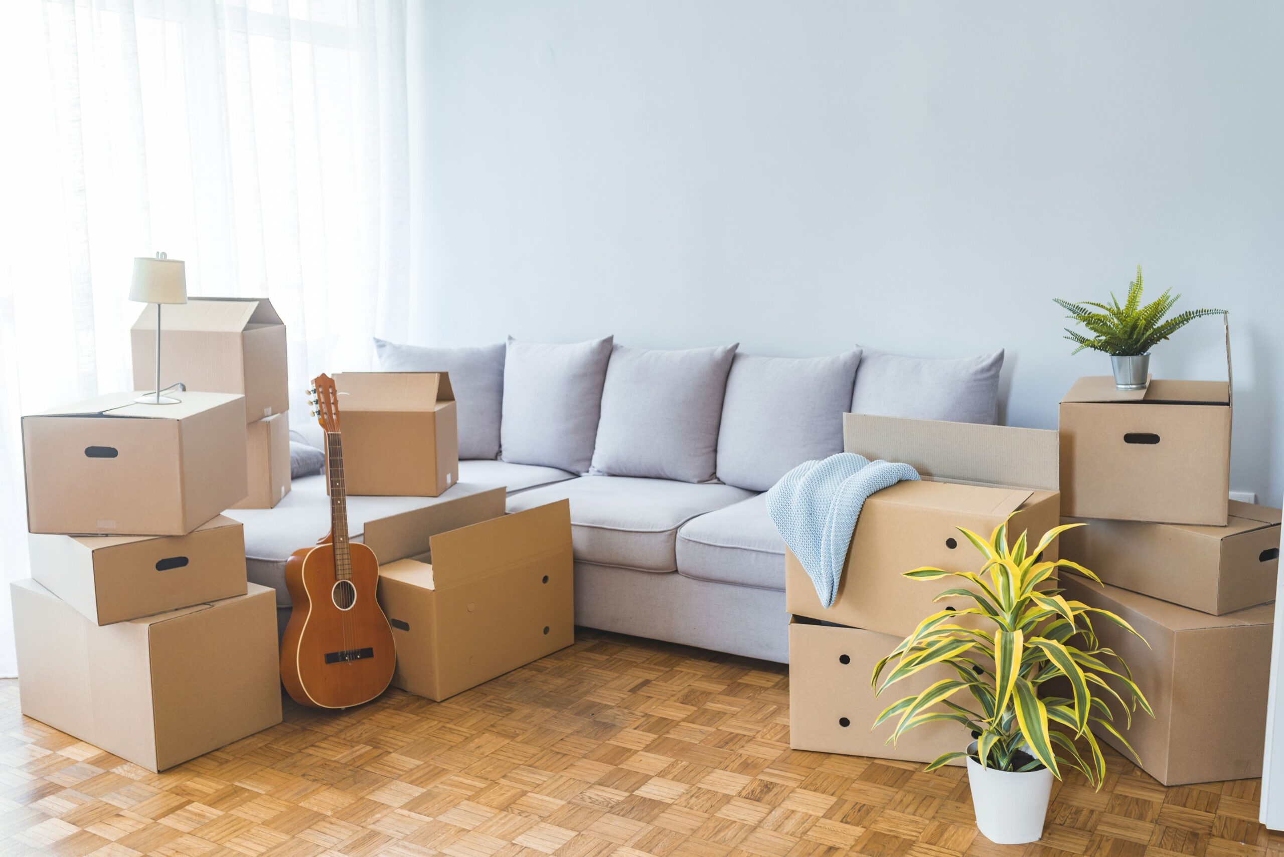 moving boxes