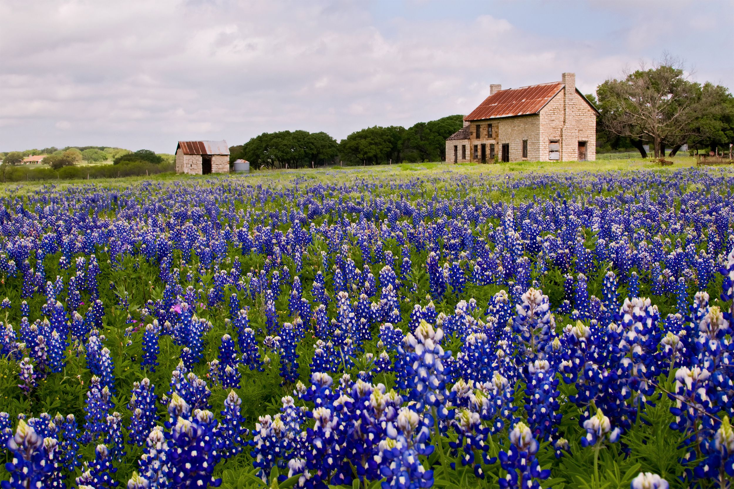 Burnet, Texas