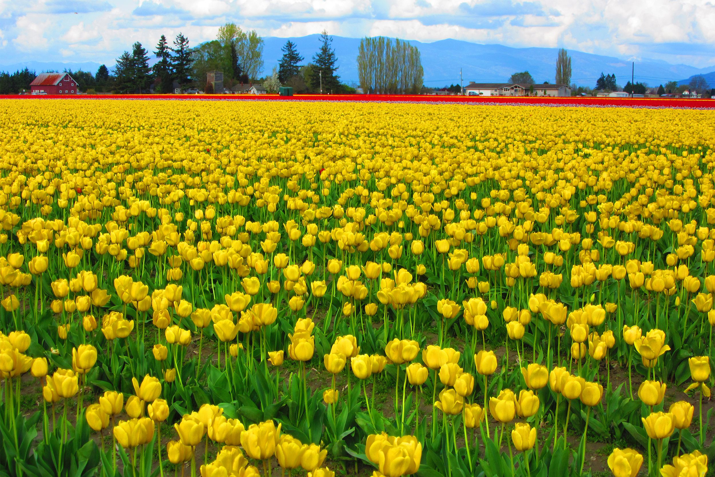 LaConner, Washington