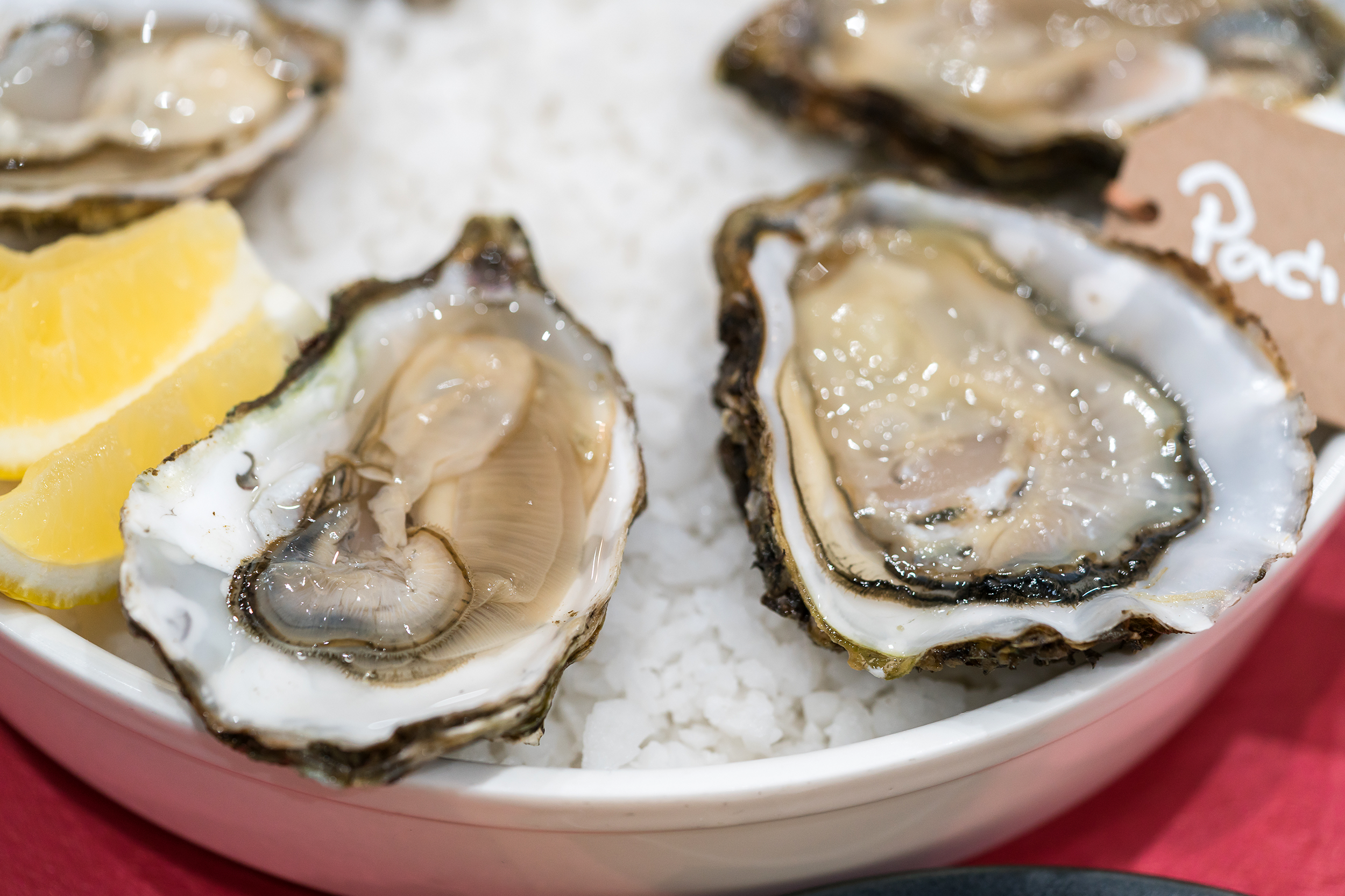 Oysters