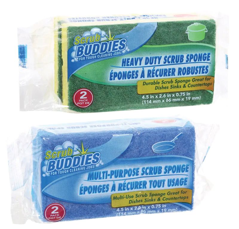 Sponges
