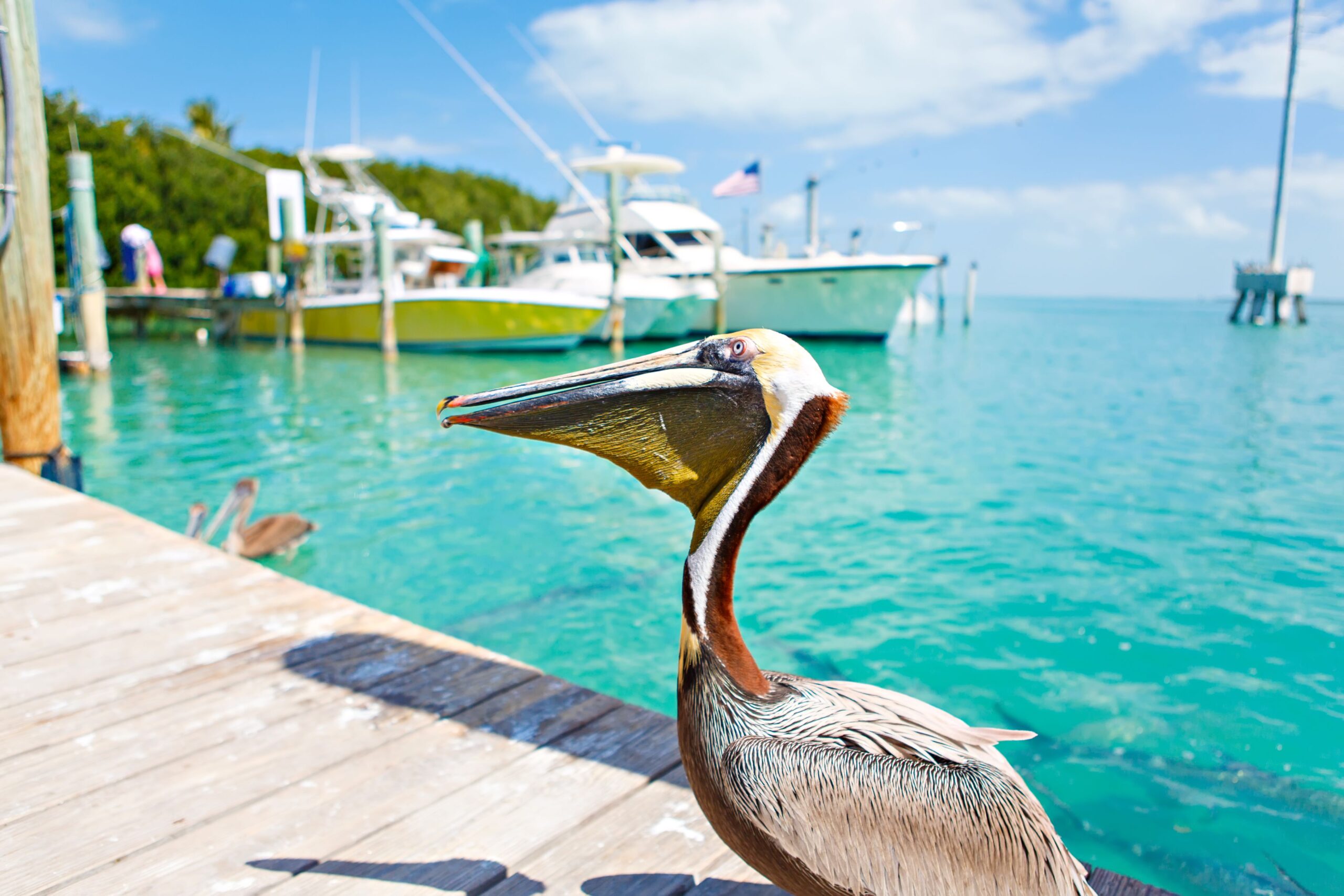 Islamorada, Florida