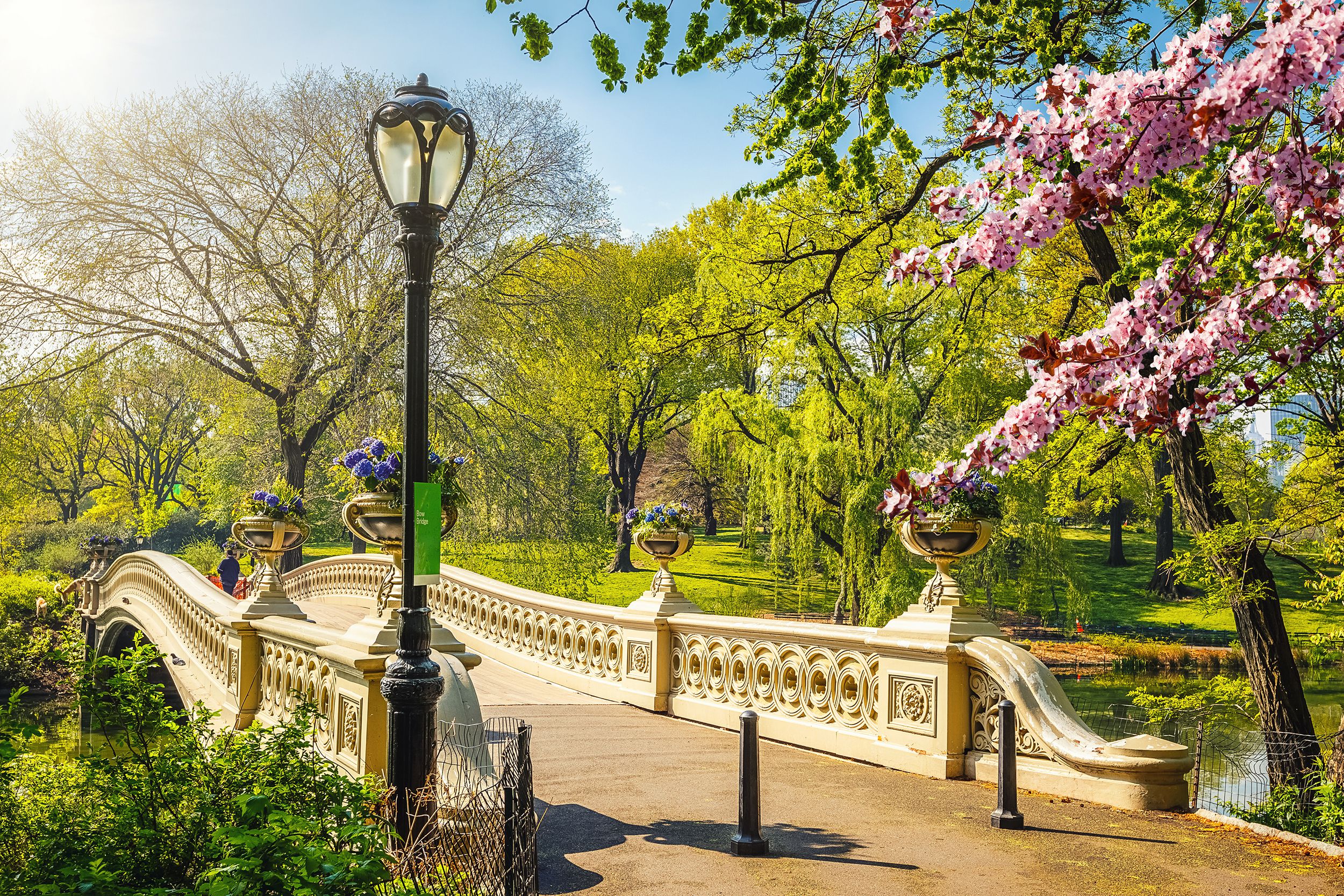 spring time at Central Park, New York City