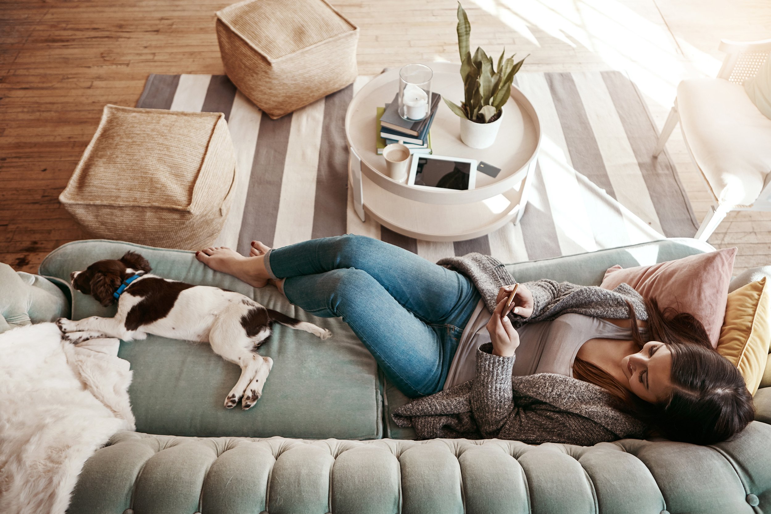 comfortable living room space with woman on couch and dog