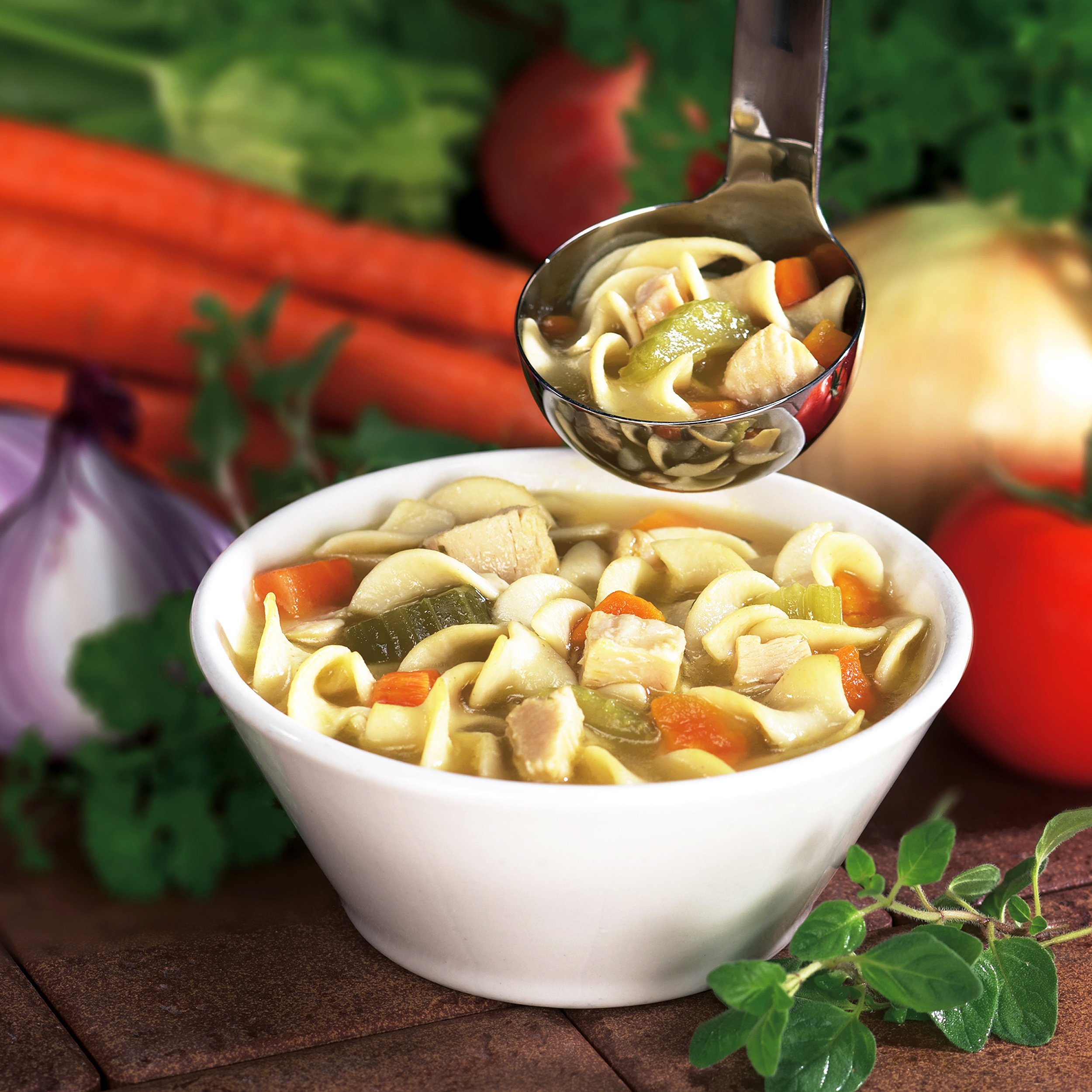 Chicken Noodle Soup