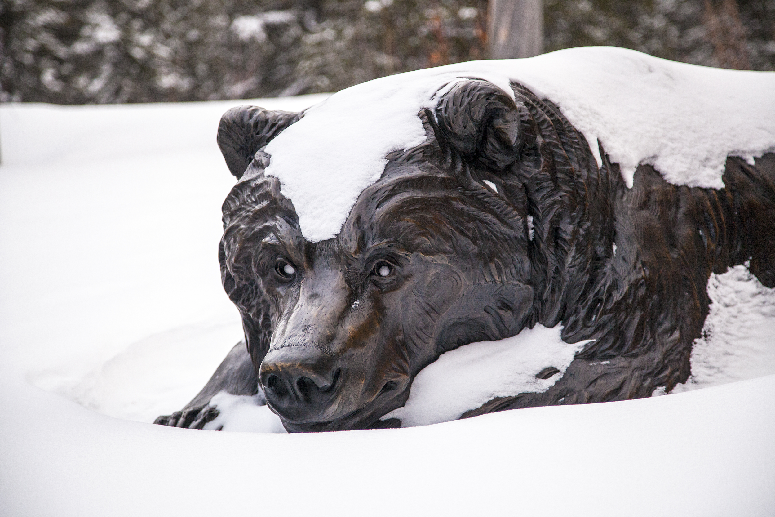 Bear Sculpture in Winter