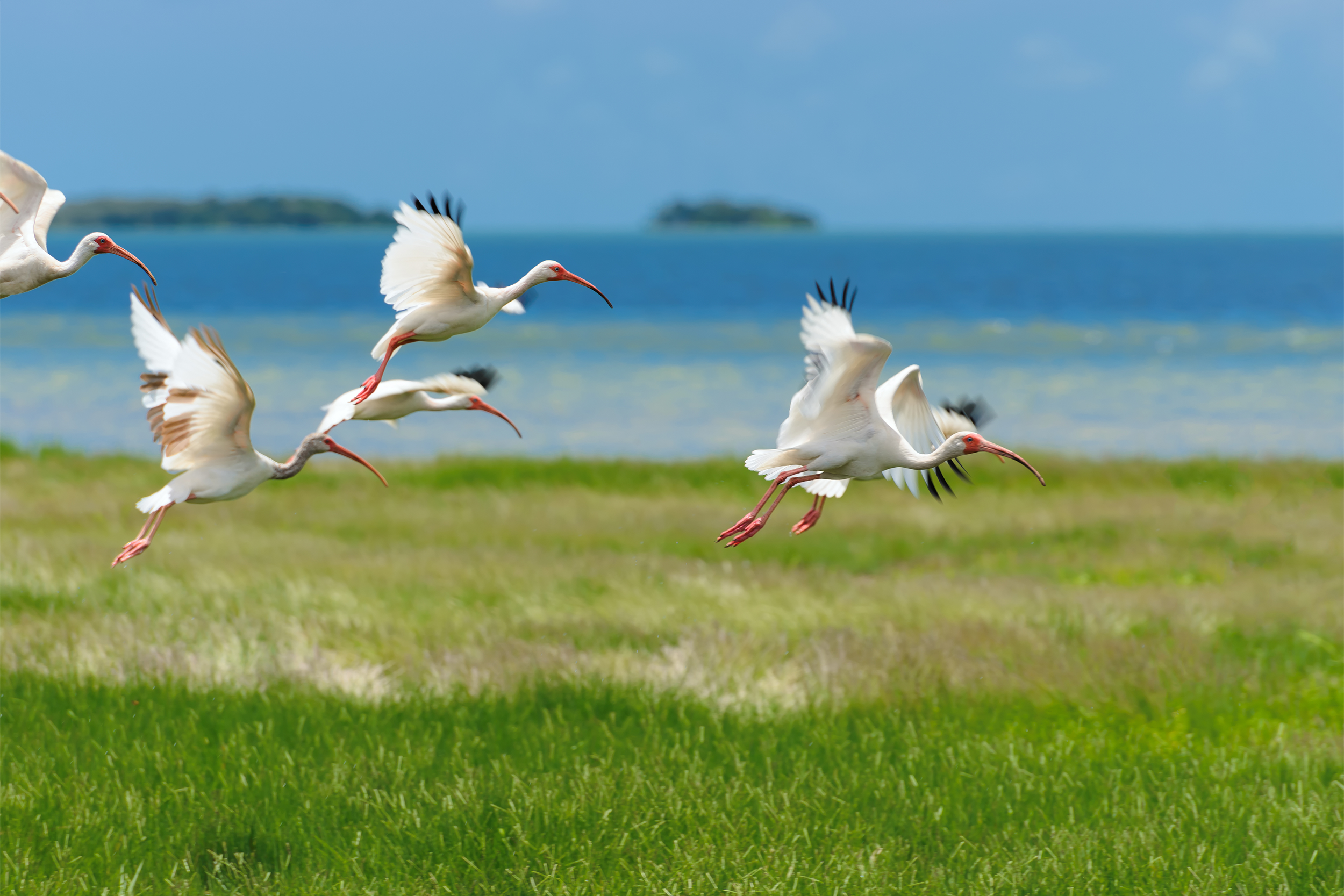 Everglades National Park