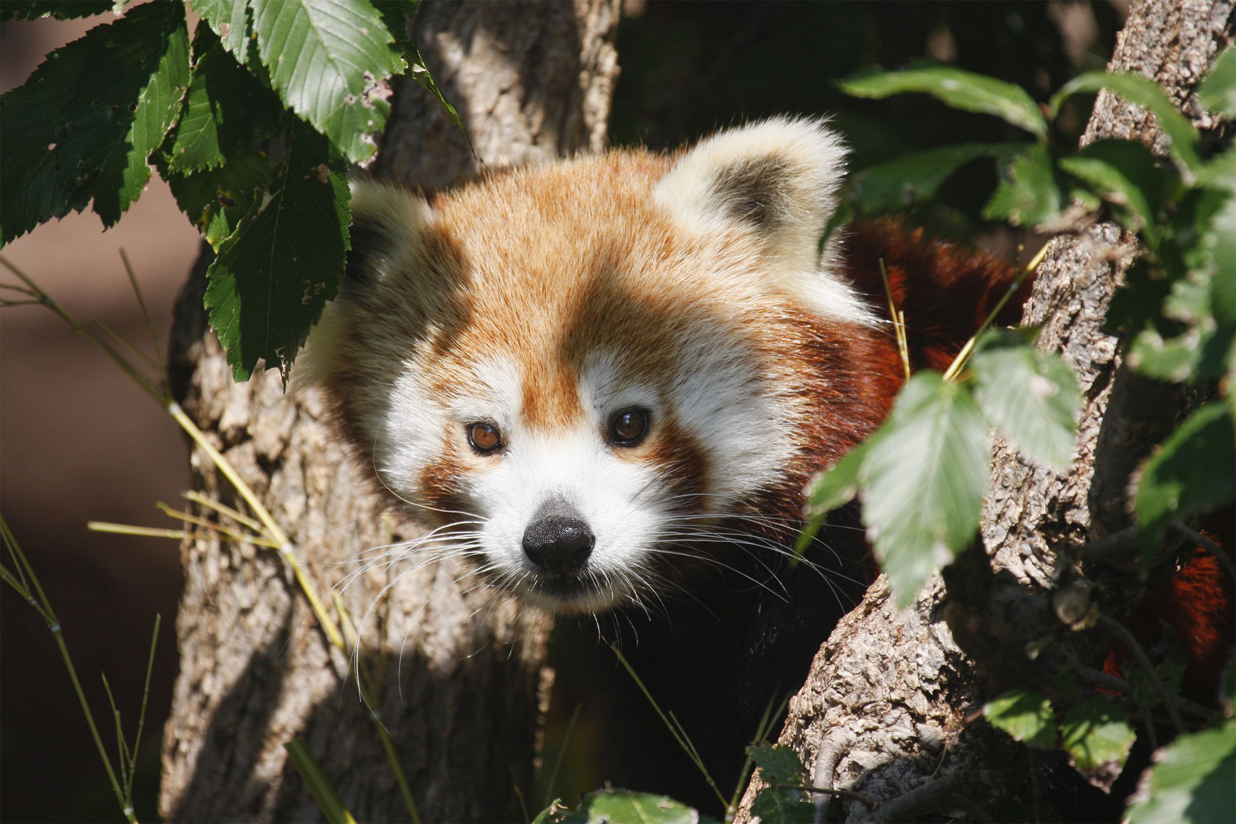 Oklahoma City Zoo