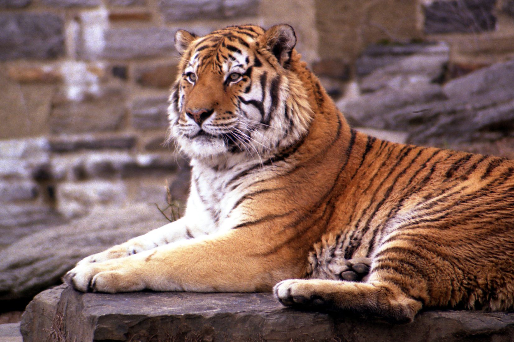 Philadelphia Zoo