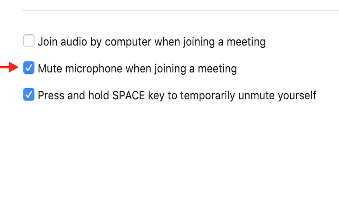 mute mic in zoom