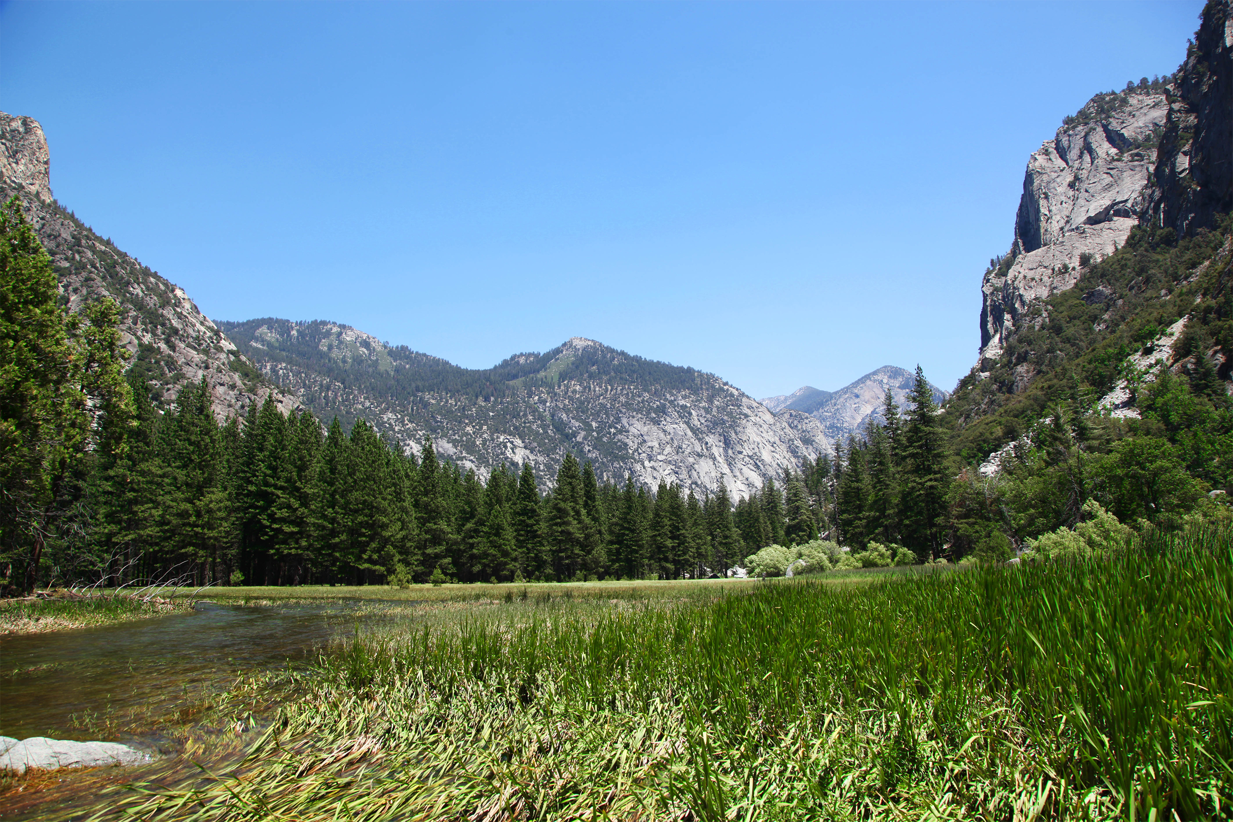 Sequoia & Kings Canyon National Parks
