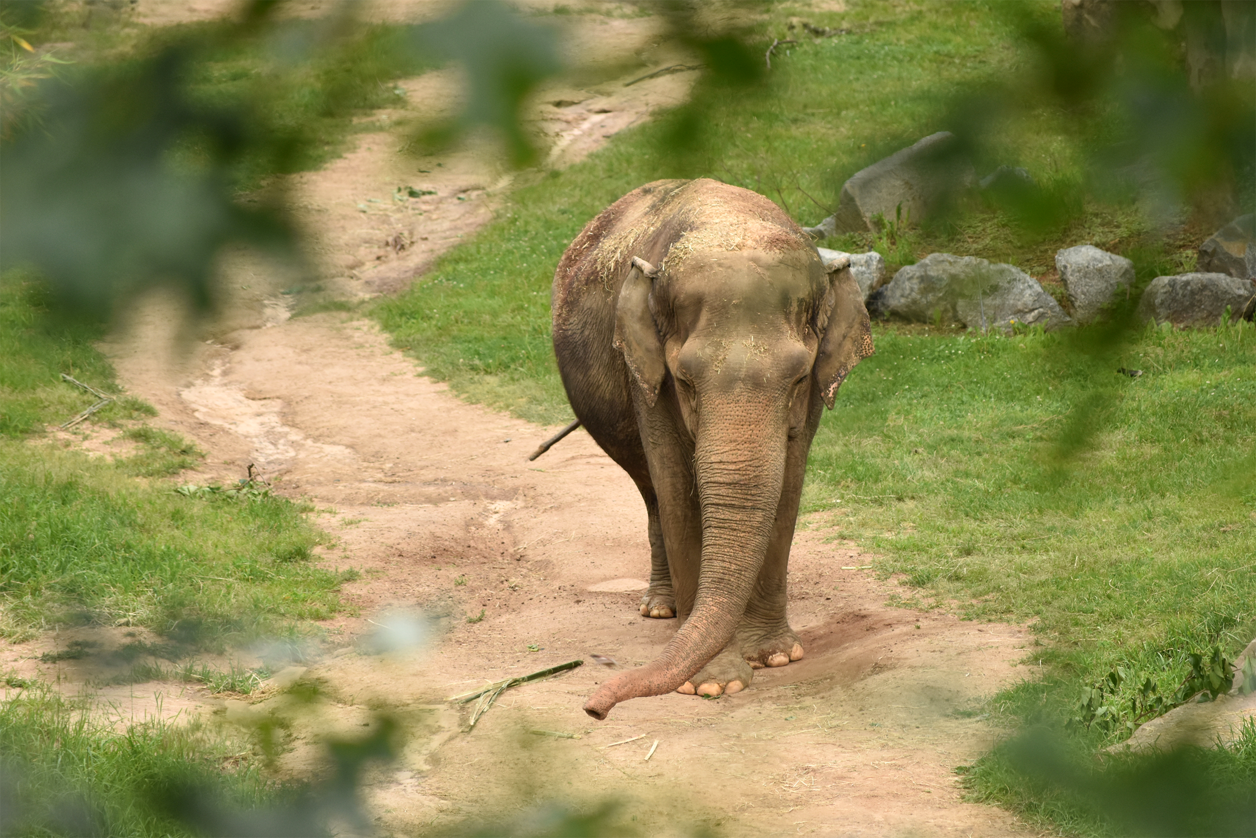 Smithsonian National Zoological Park