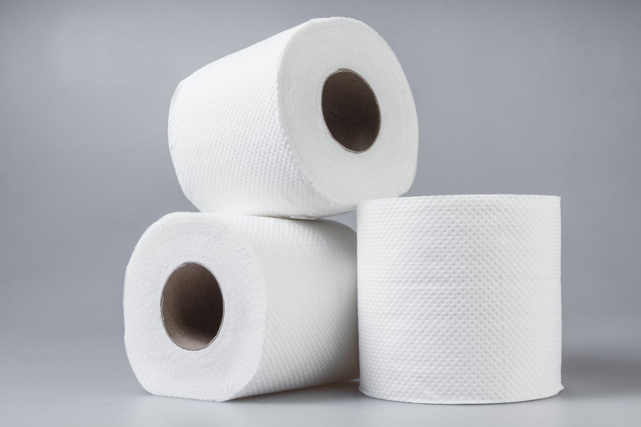 small toilet paper rolls