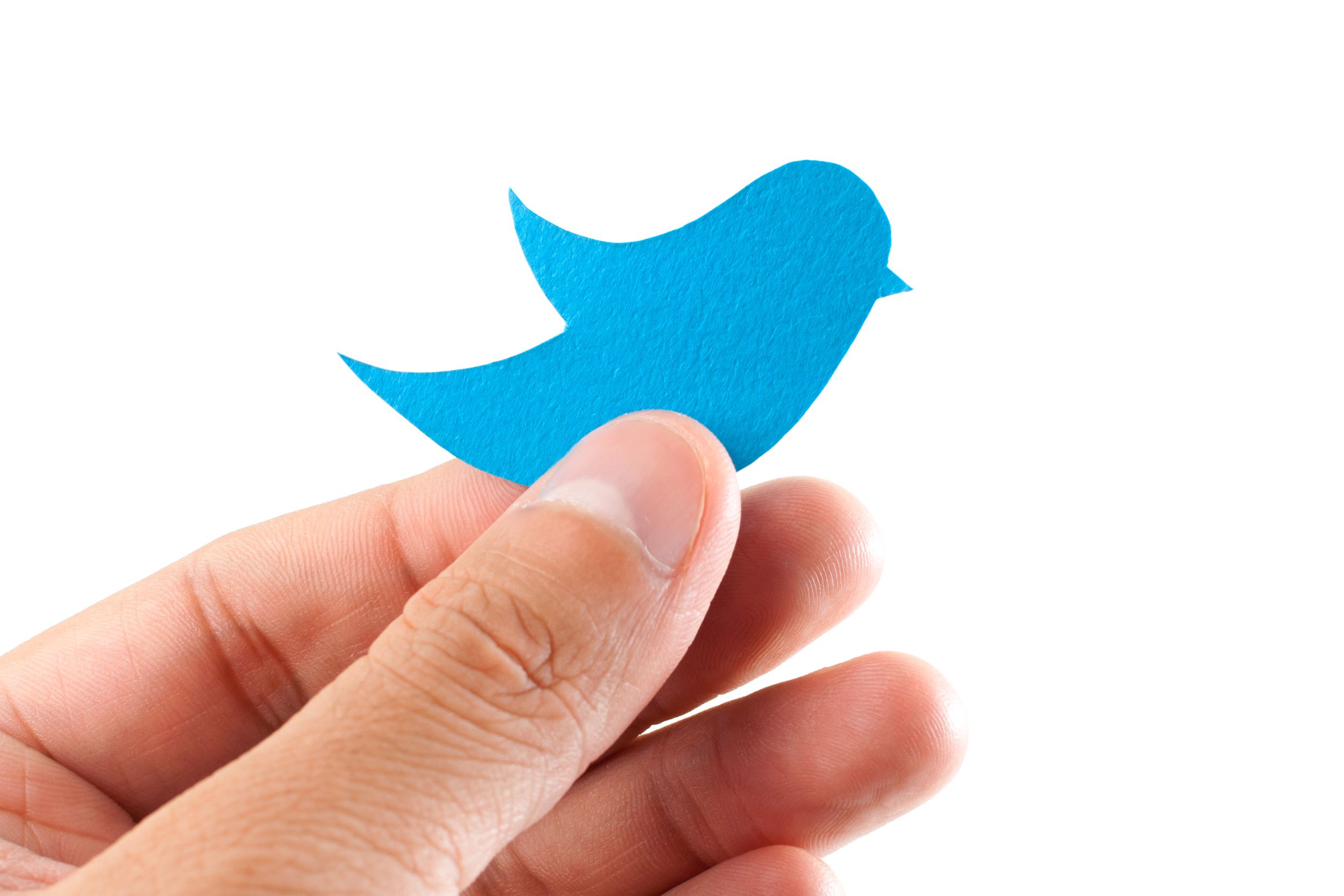 hand holding paper bluebird on white isolated, Twitter