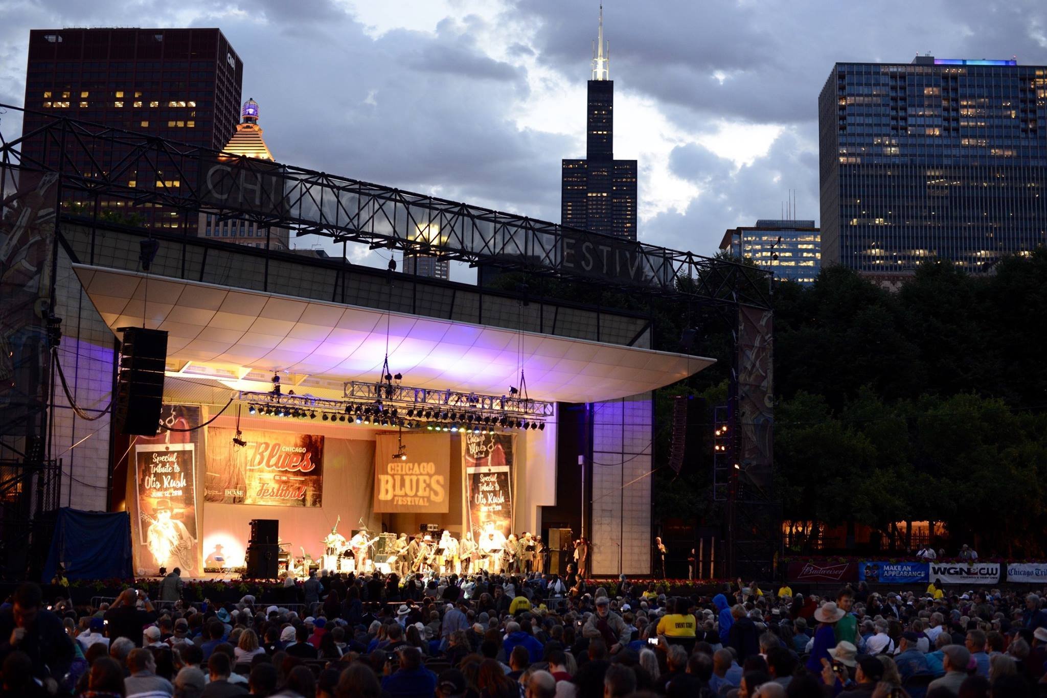 Chicago Blues Festival