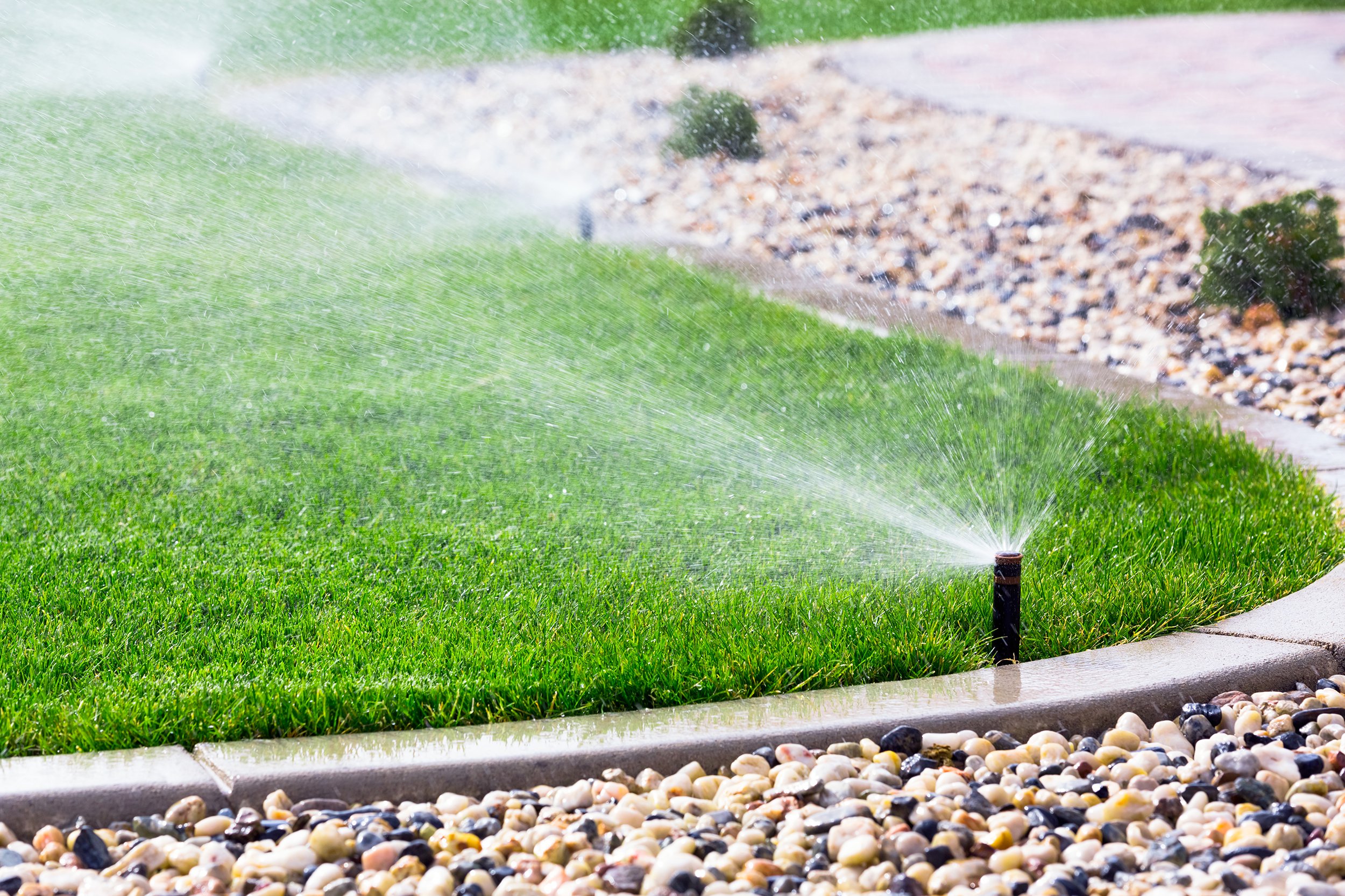 sprinklers in yard