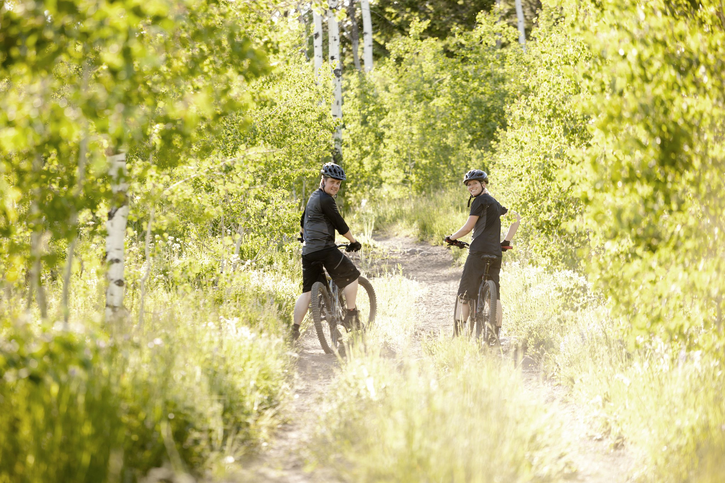 two cyclists cycle along an overgrown track through Silver Birch woodland, Montana