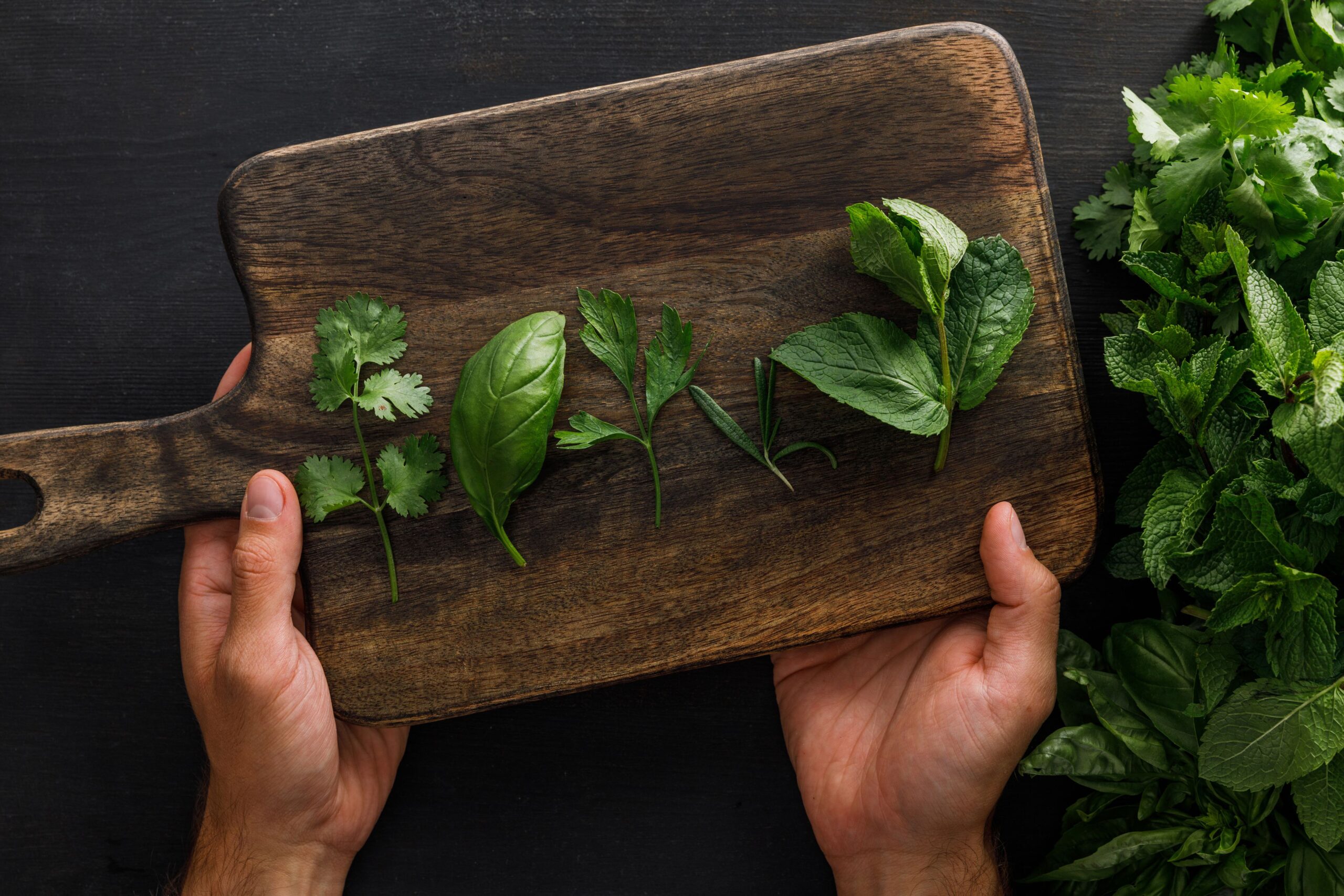 basil, cilantro, parsley, peppermint leaves