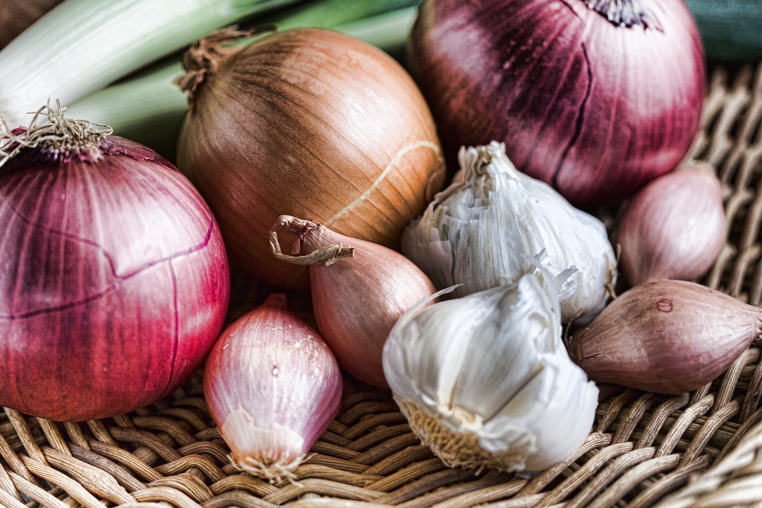 onion and garlic