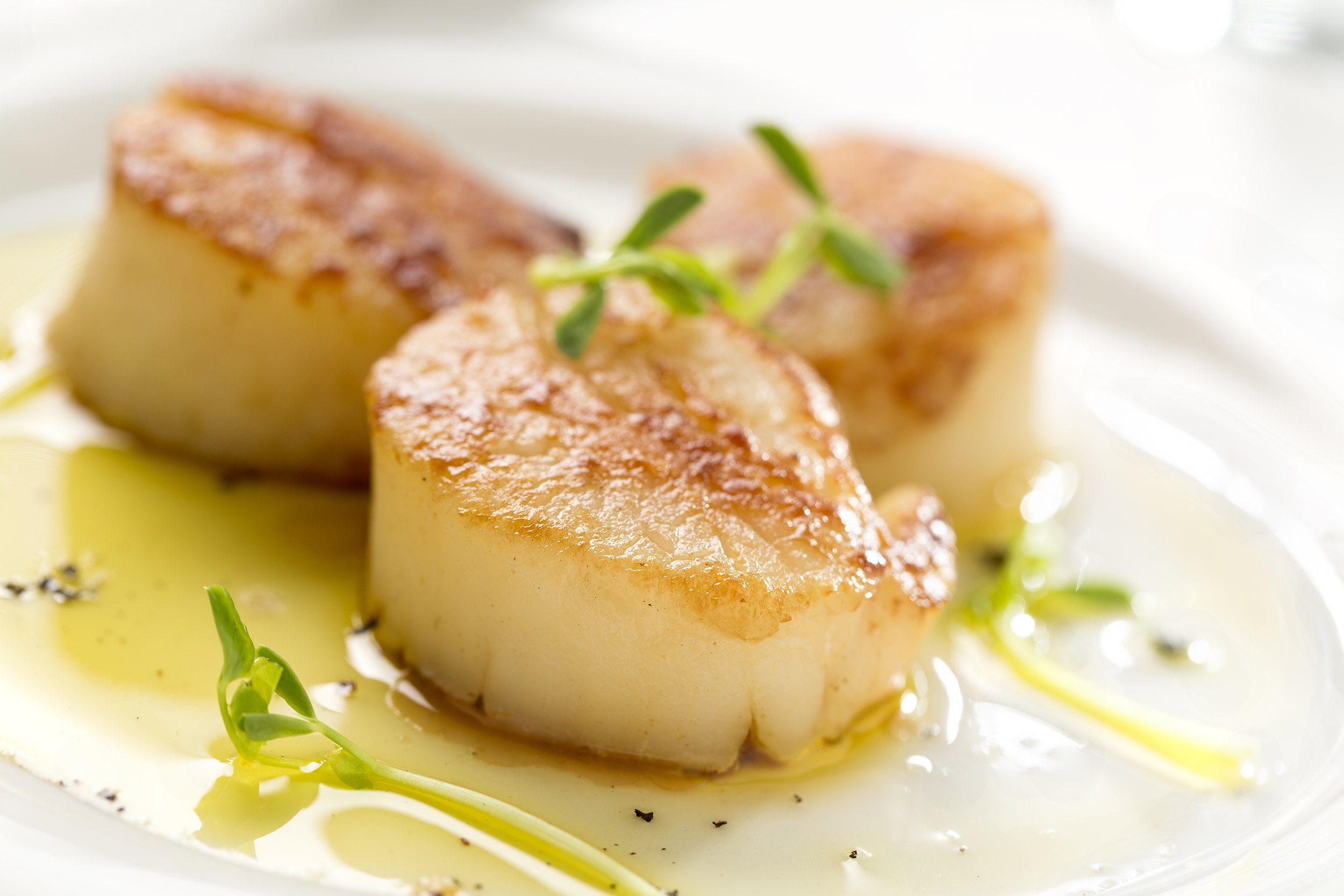 Seared Scallops