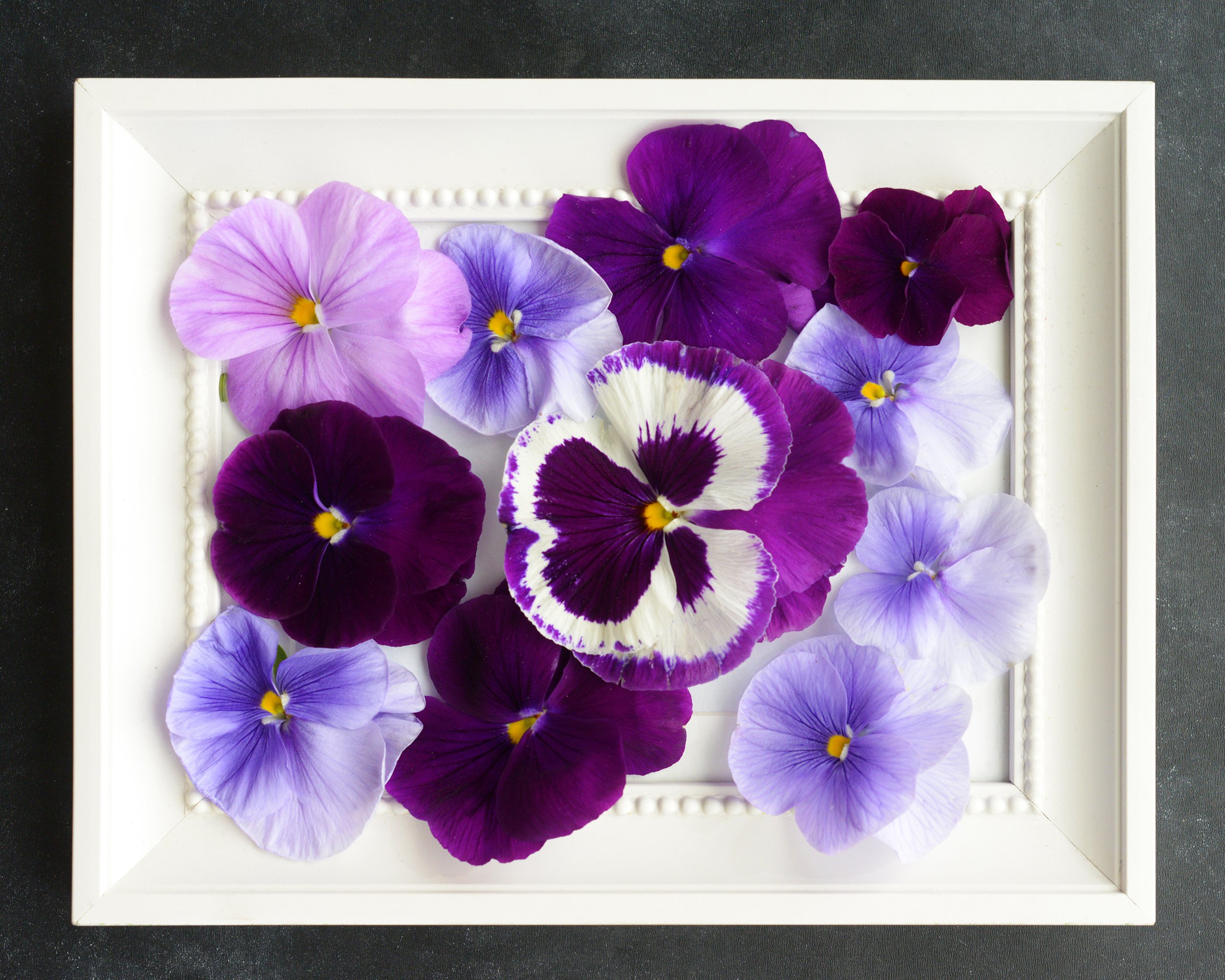 Picture Frame