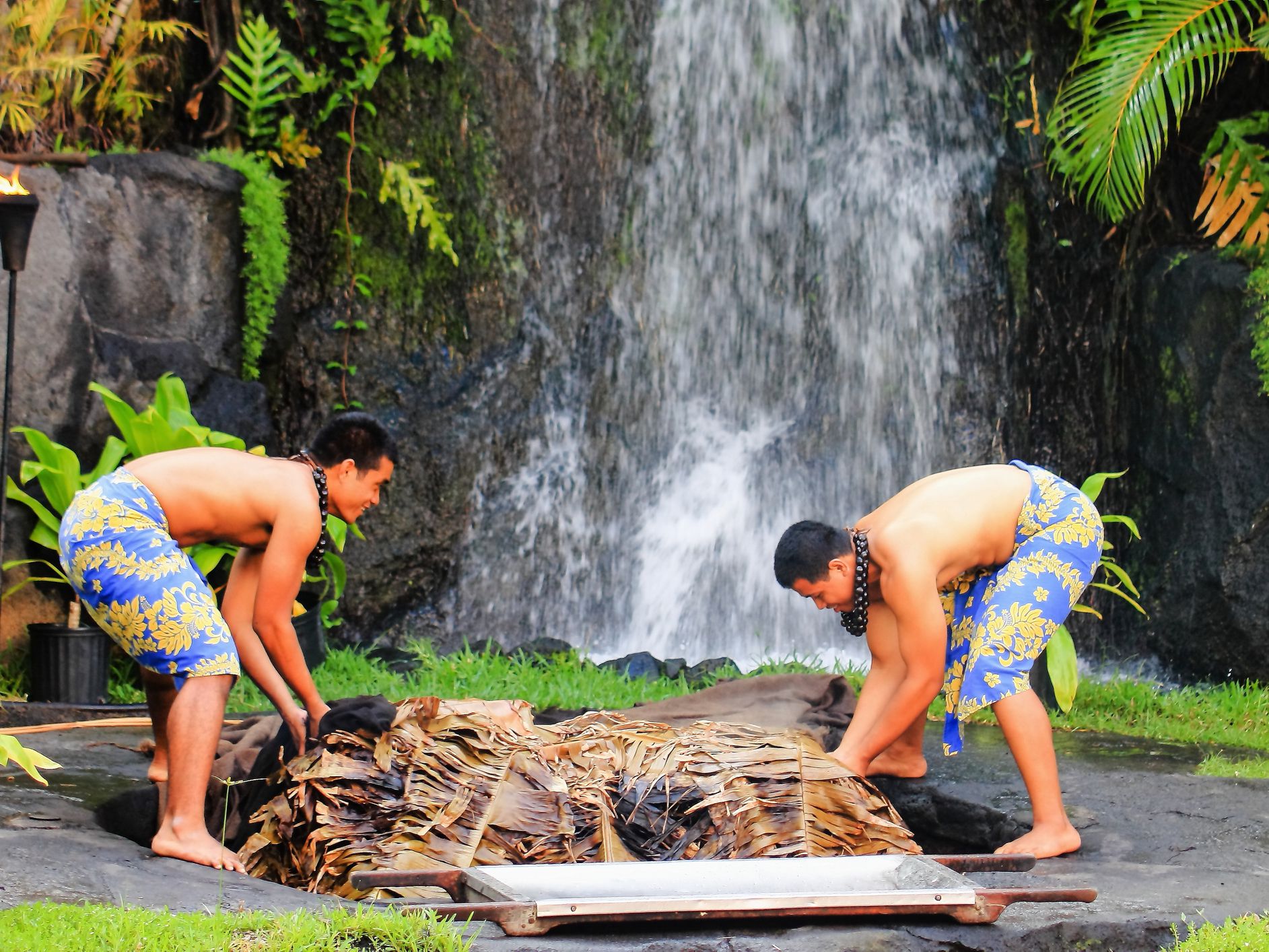 Honolulu, Hawaii-May 27, 2016: Two young Hawaiian men at the Polynesian Cultural Center uplift a pig cooked in the traditional style Kalua utilizing an Imu (under ground oven)