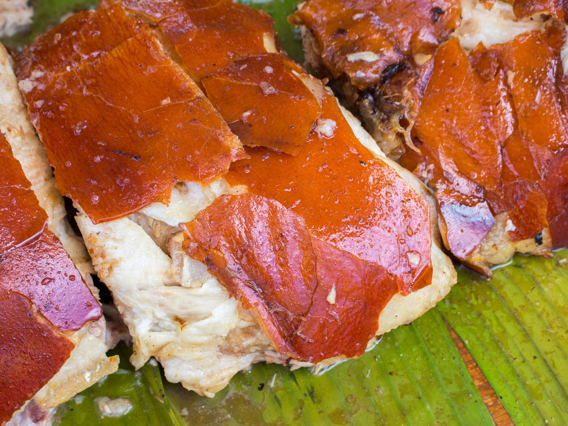 Juicy pork meat cooked for lunch. Sliced pork barbecue with pink meat. Spanish dish lechon close image for restaurant menu or eatery illustration. Tasty meat ready for eat. Traditional spanish cuisine