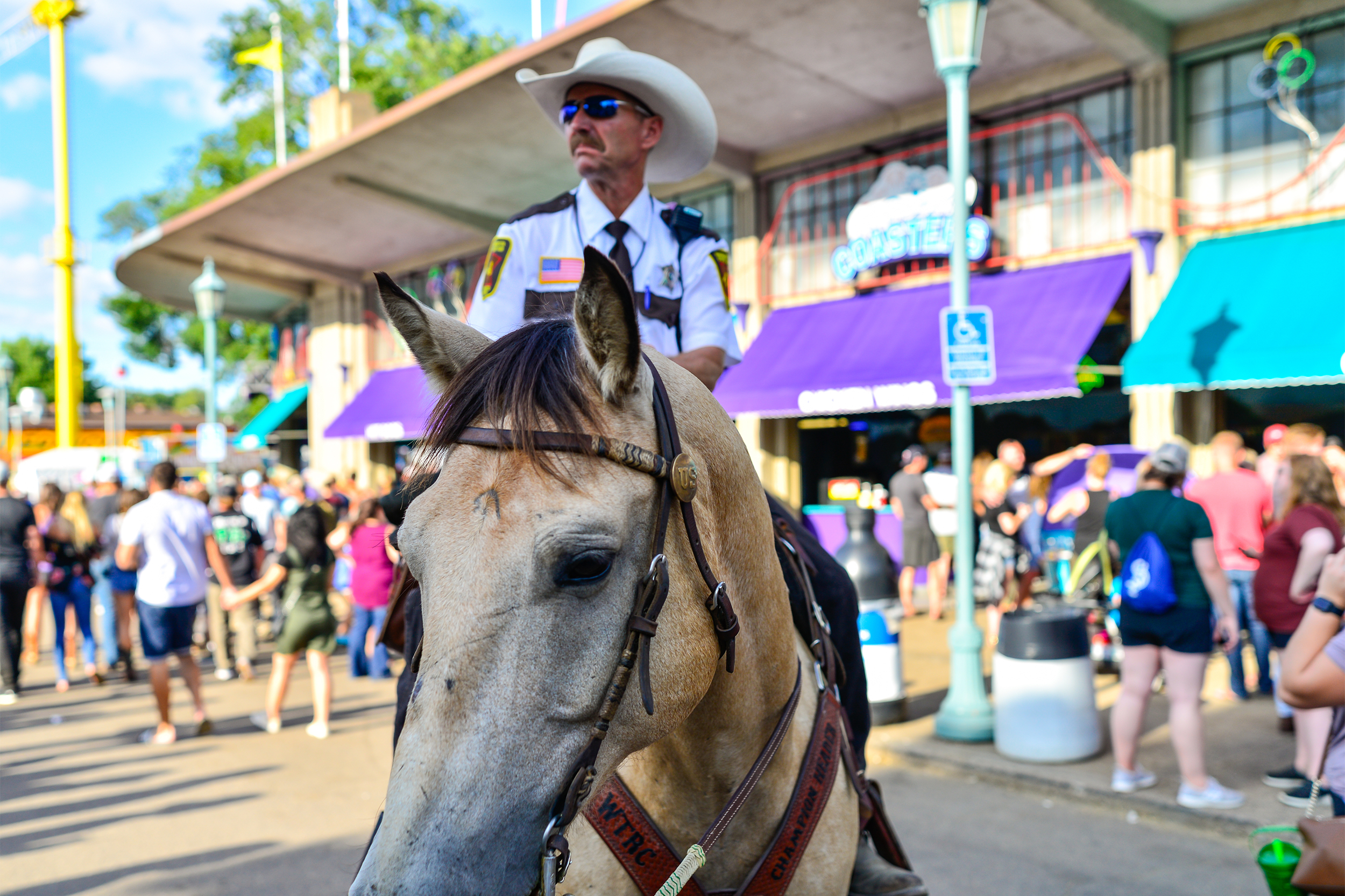 Minnesota police office on horseback