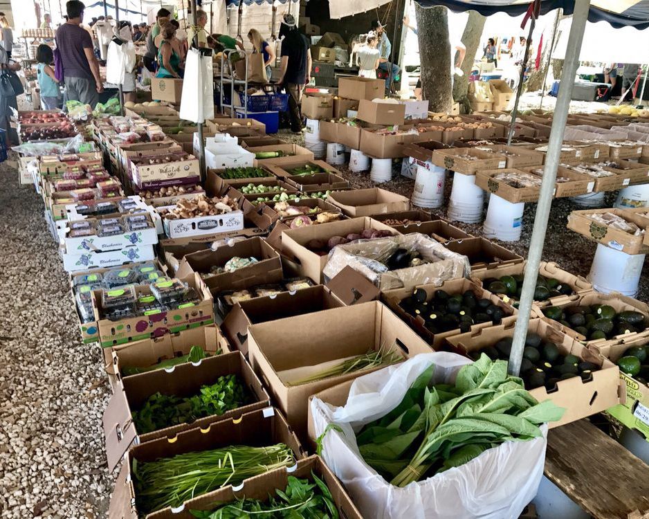 Coconut Grove Organic Farmers Market, Miami