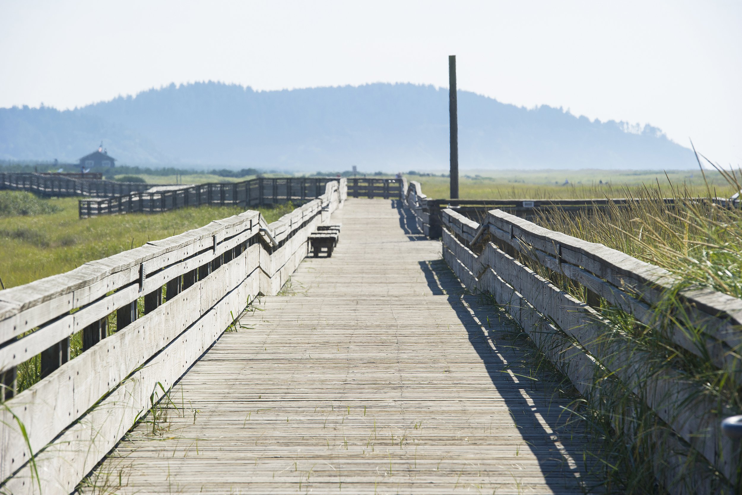 Long Beach, Washington