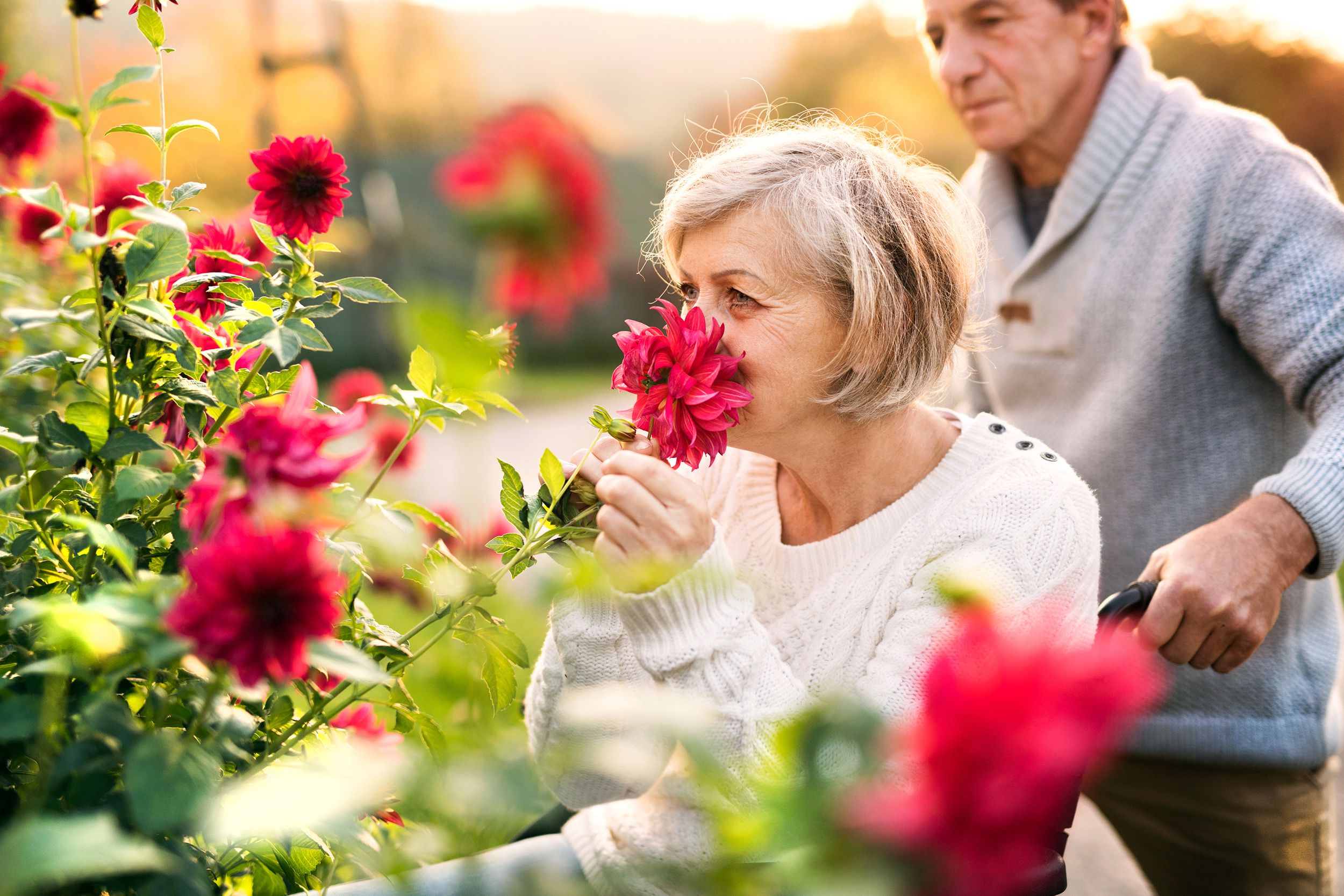 senior woman in wheelchair smiling with flowers