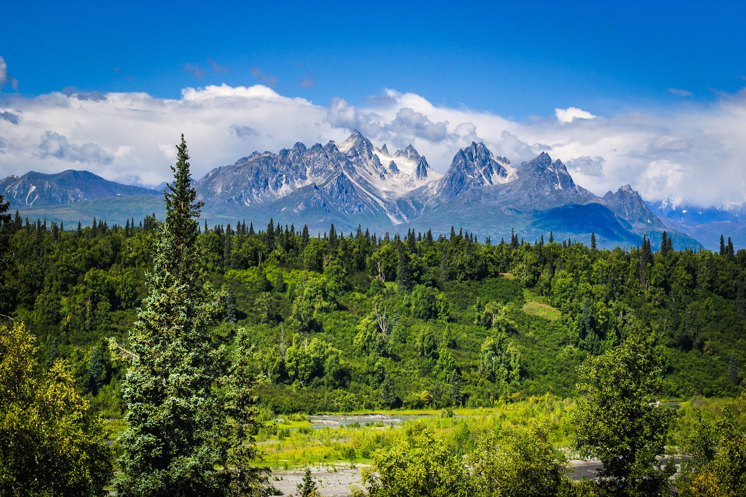 Denali National Park, Alaska